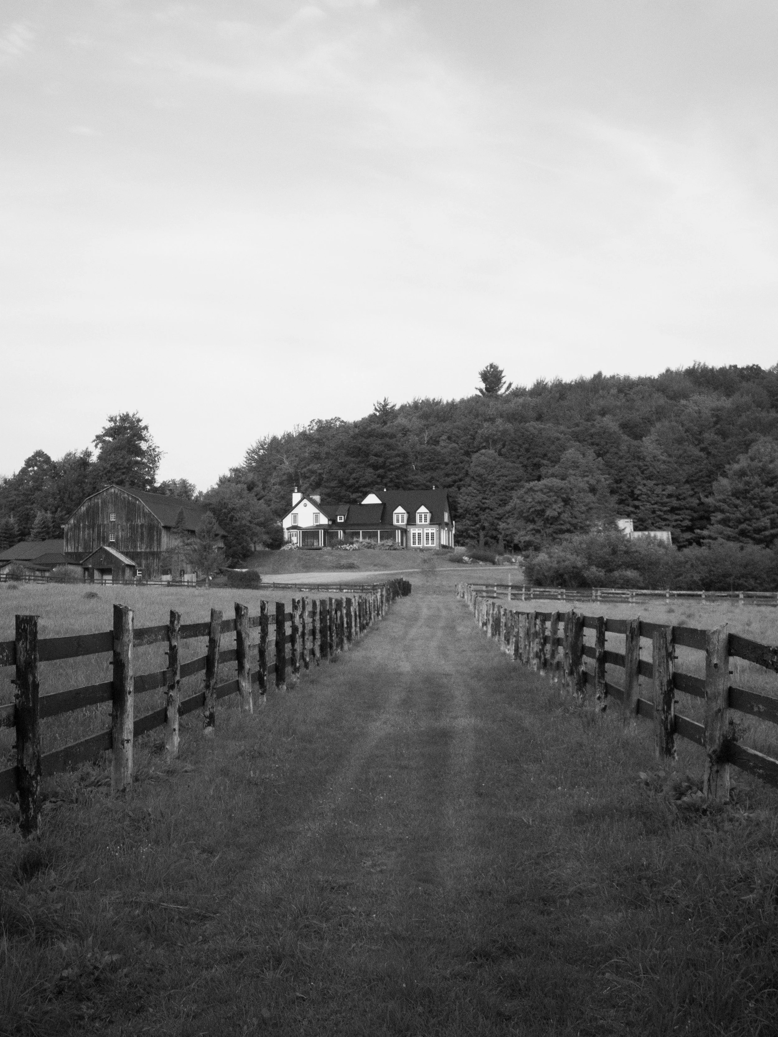 P1244878.jpg