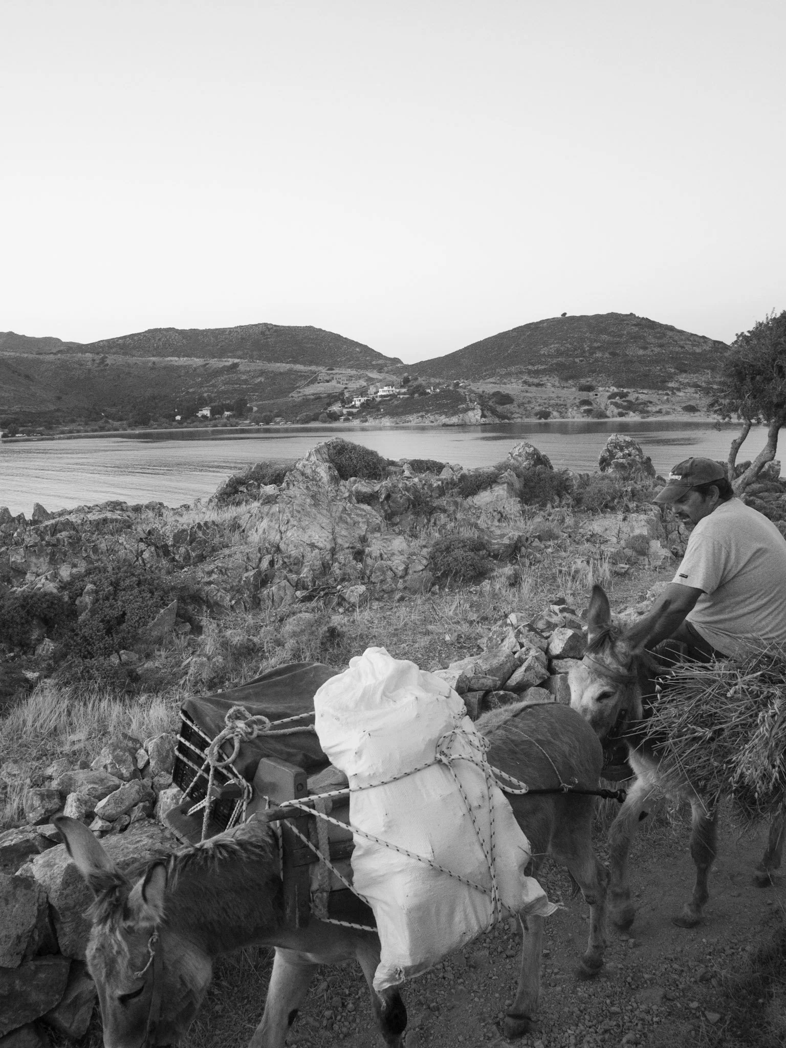P1222815.jpg