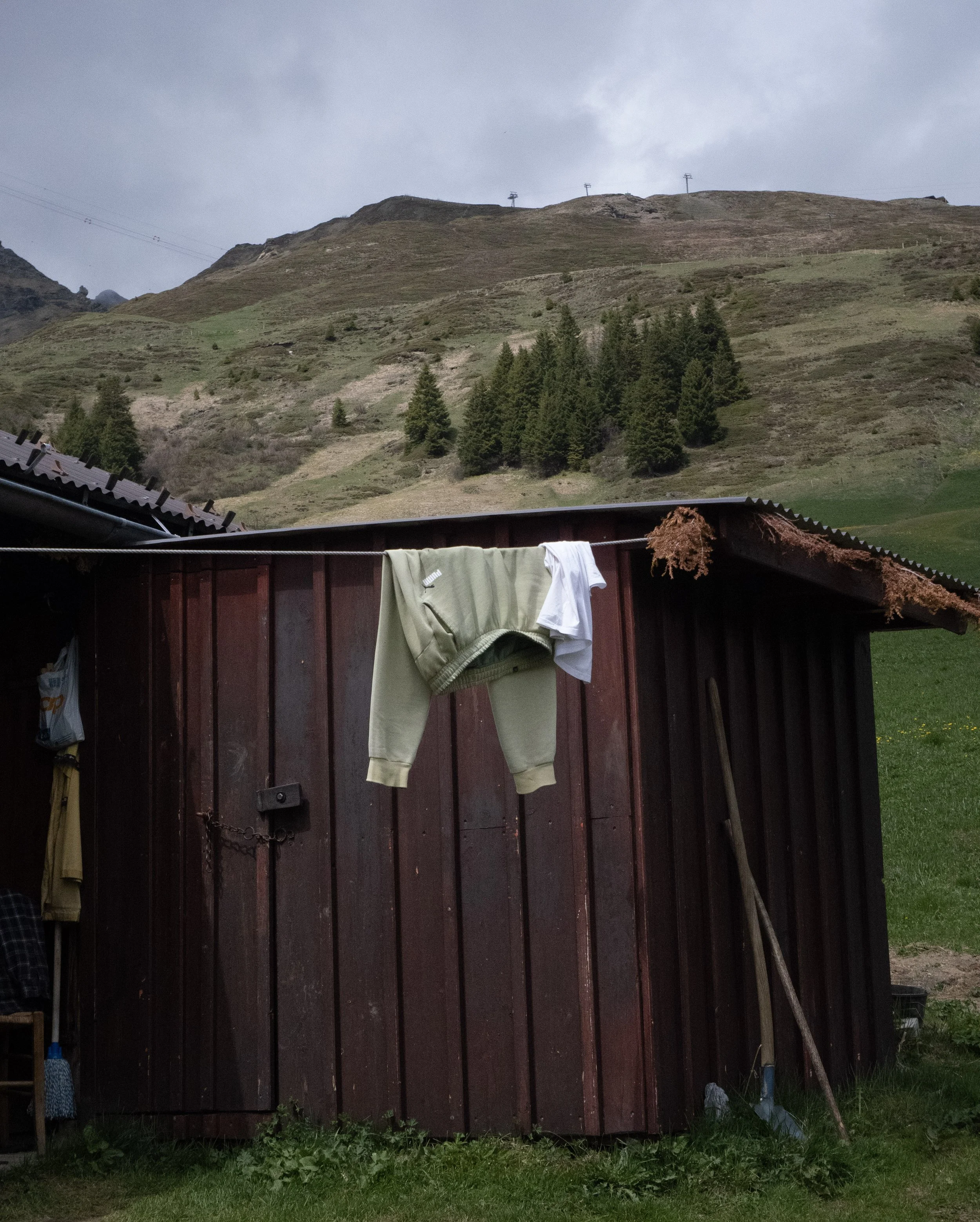 P1211494 (1).jpg