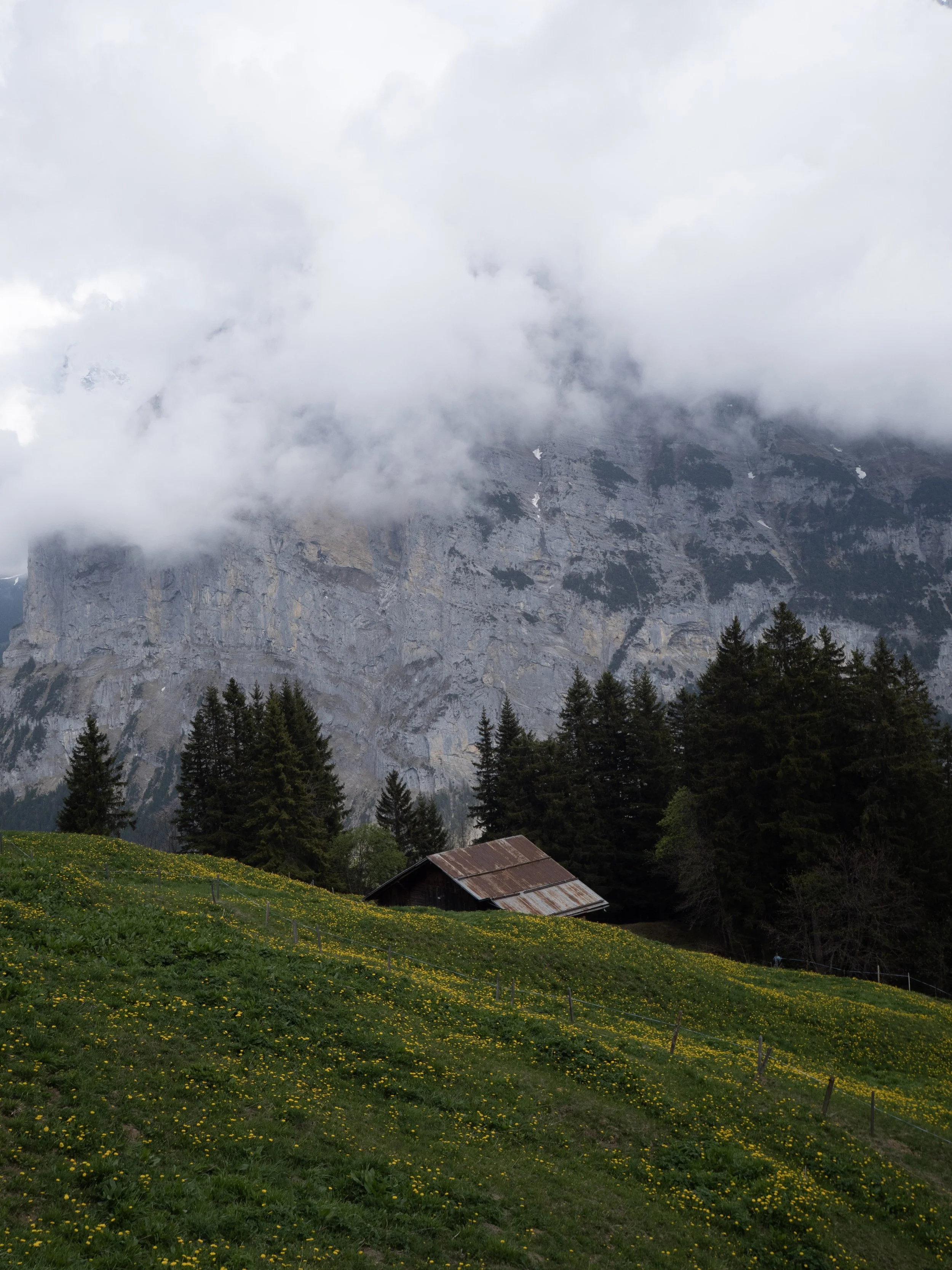P1211551 (1).jpg