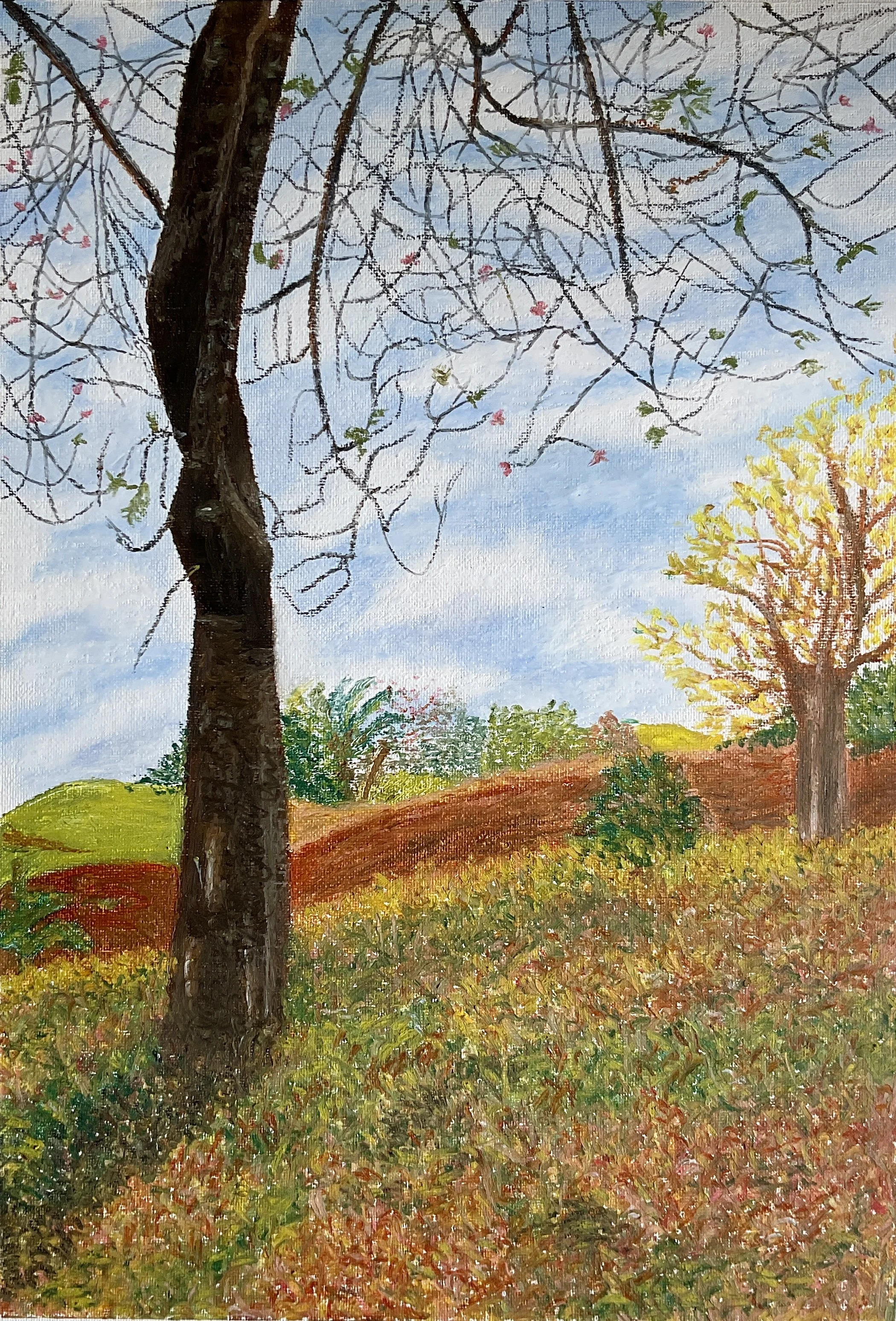 Arbol firmemente plantado