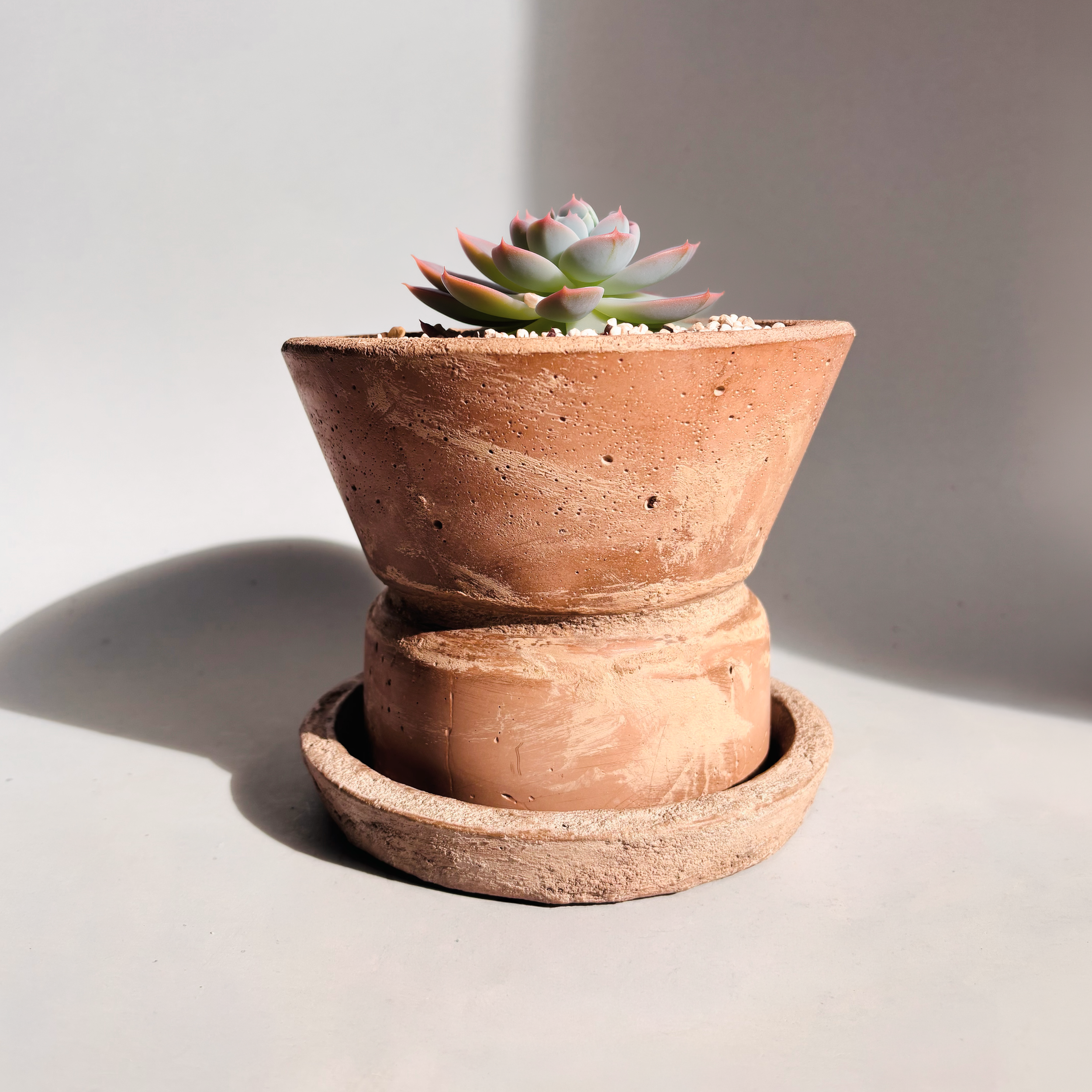 Small+Terracota+Tone+w+Light+White+Wash+w+plant.png