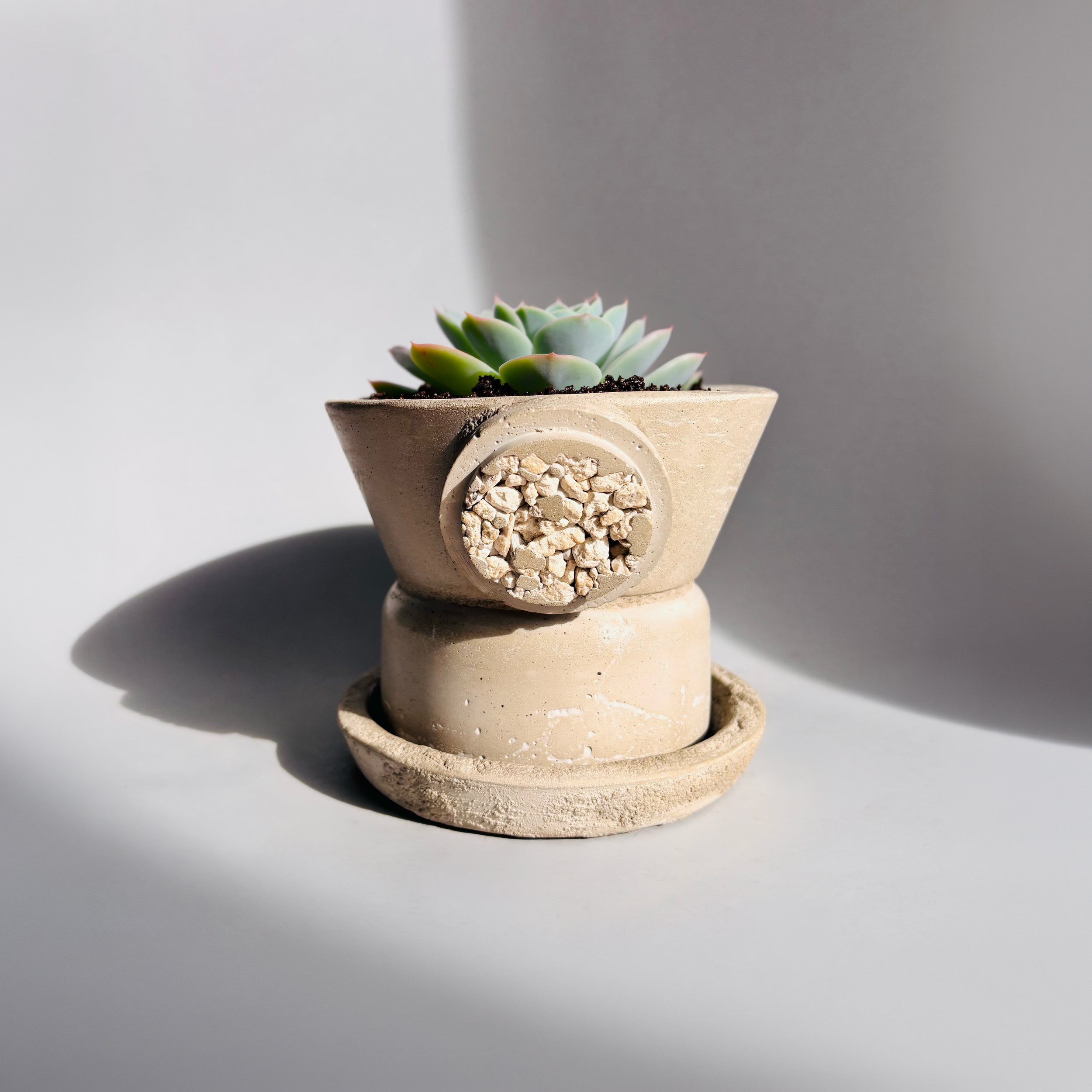 Cairn - Light Ash - White Inlay with plant.png