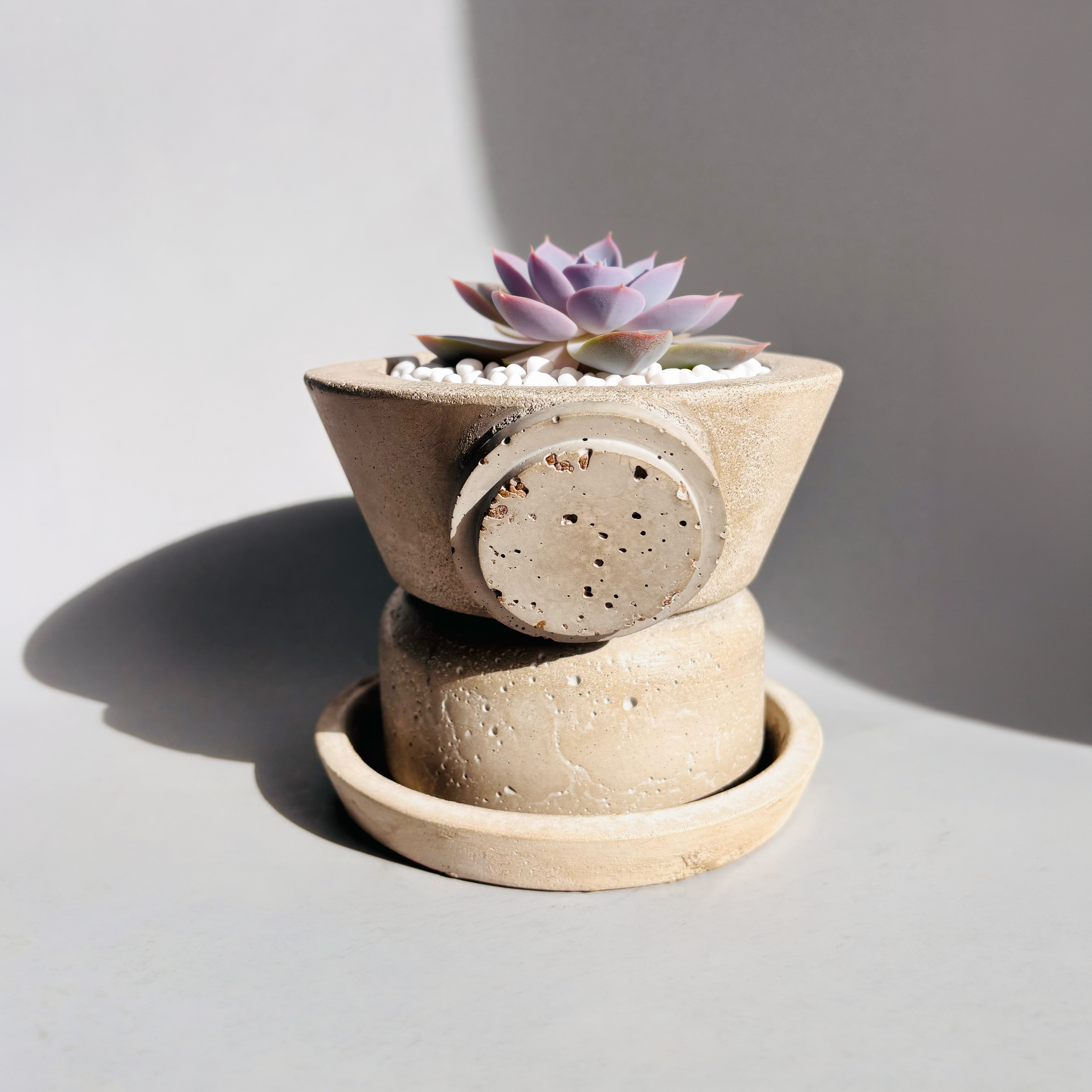 Small Light Ash w Brown Stamp w plant.png