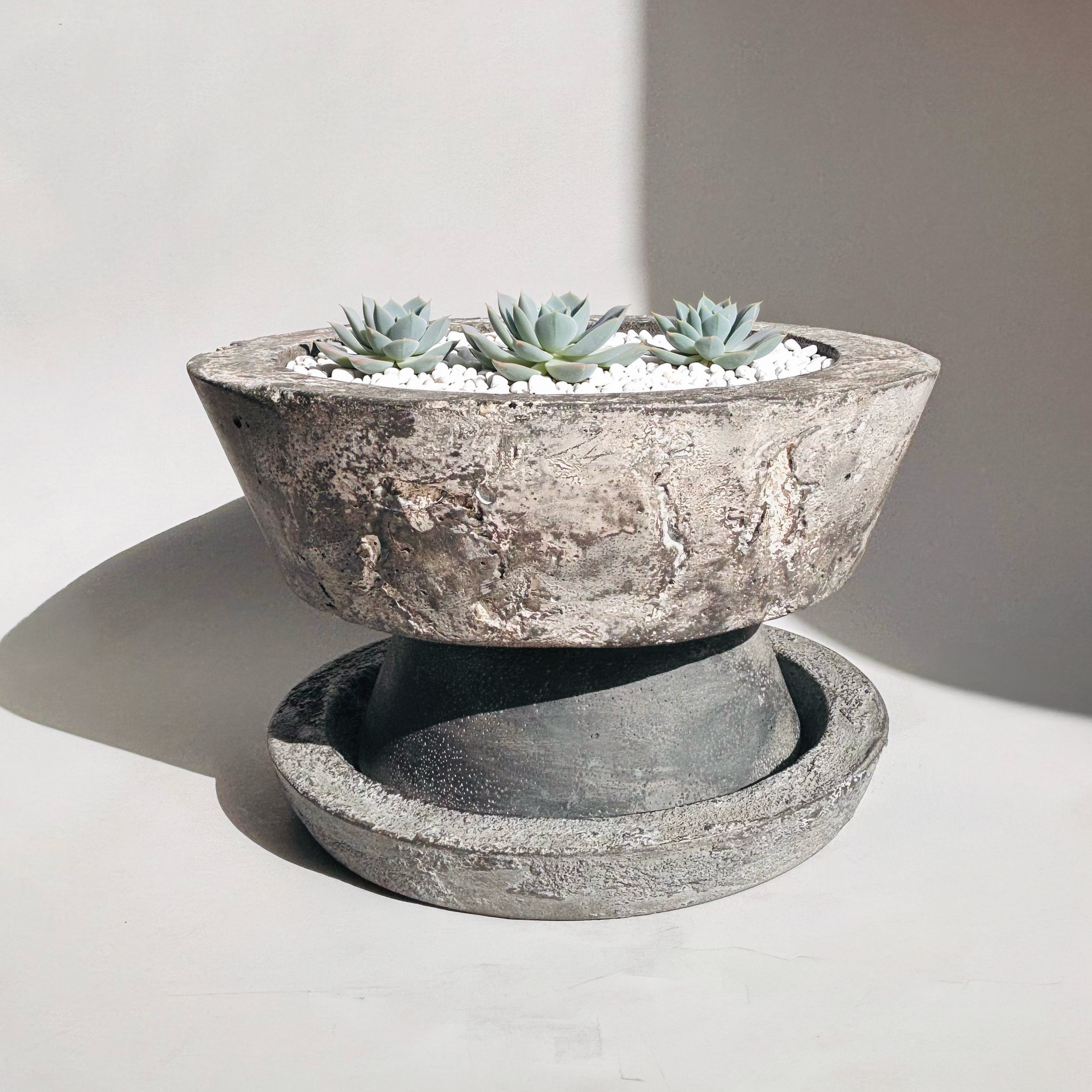 Large Charcoal Tone w White Details w Plant & Bckgrnd.png