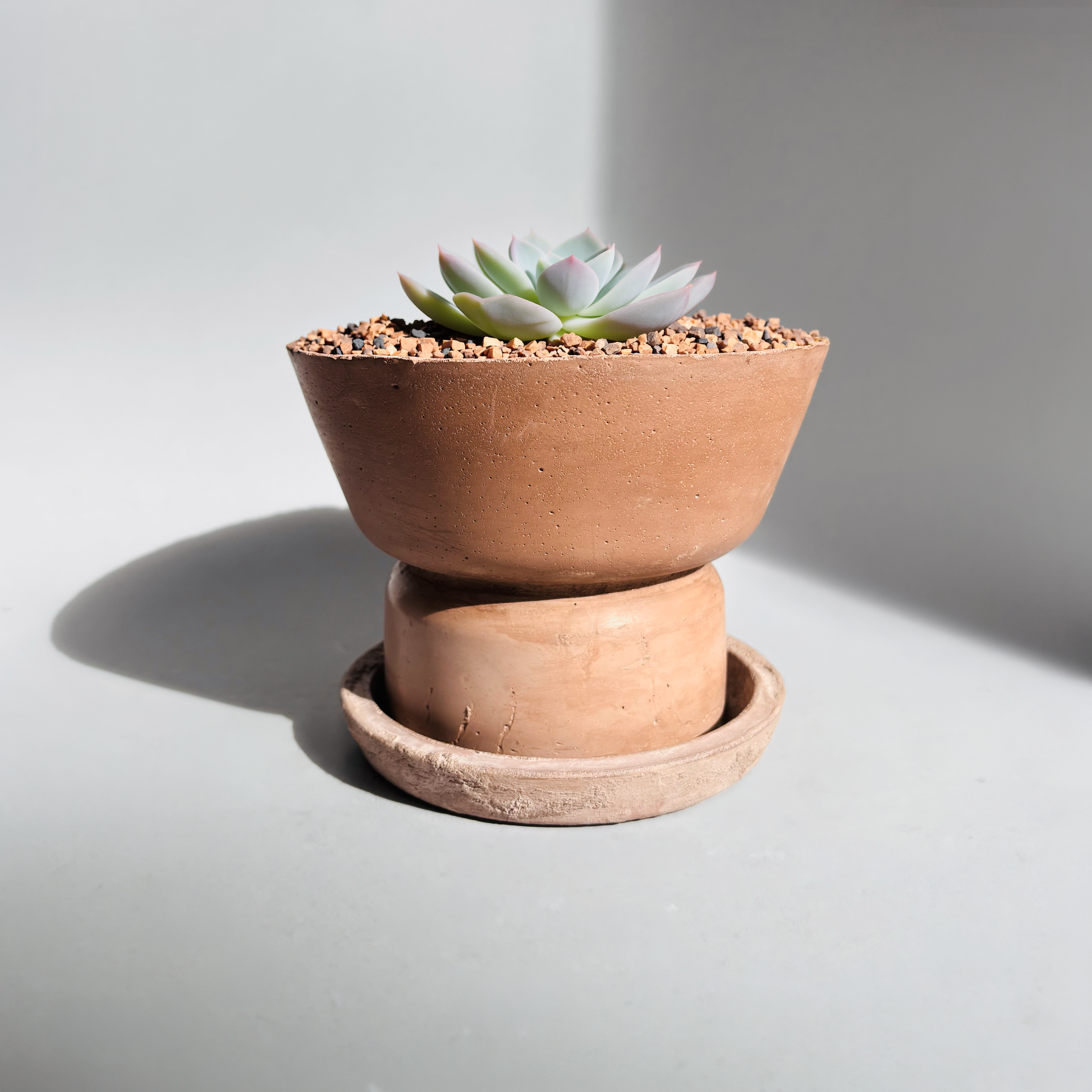 Medium+Terracota+Tone+w+Stone+Rim+with+plant.png