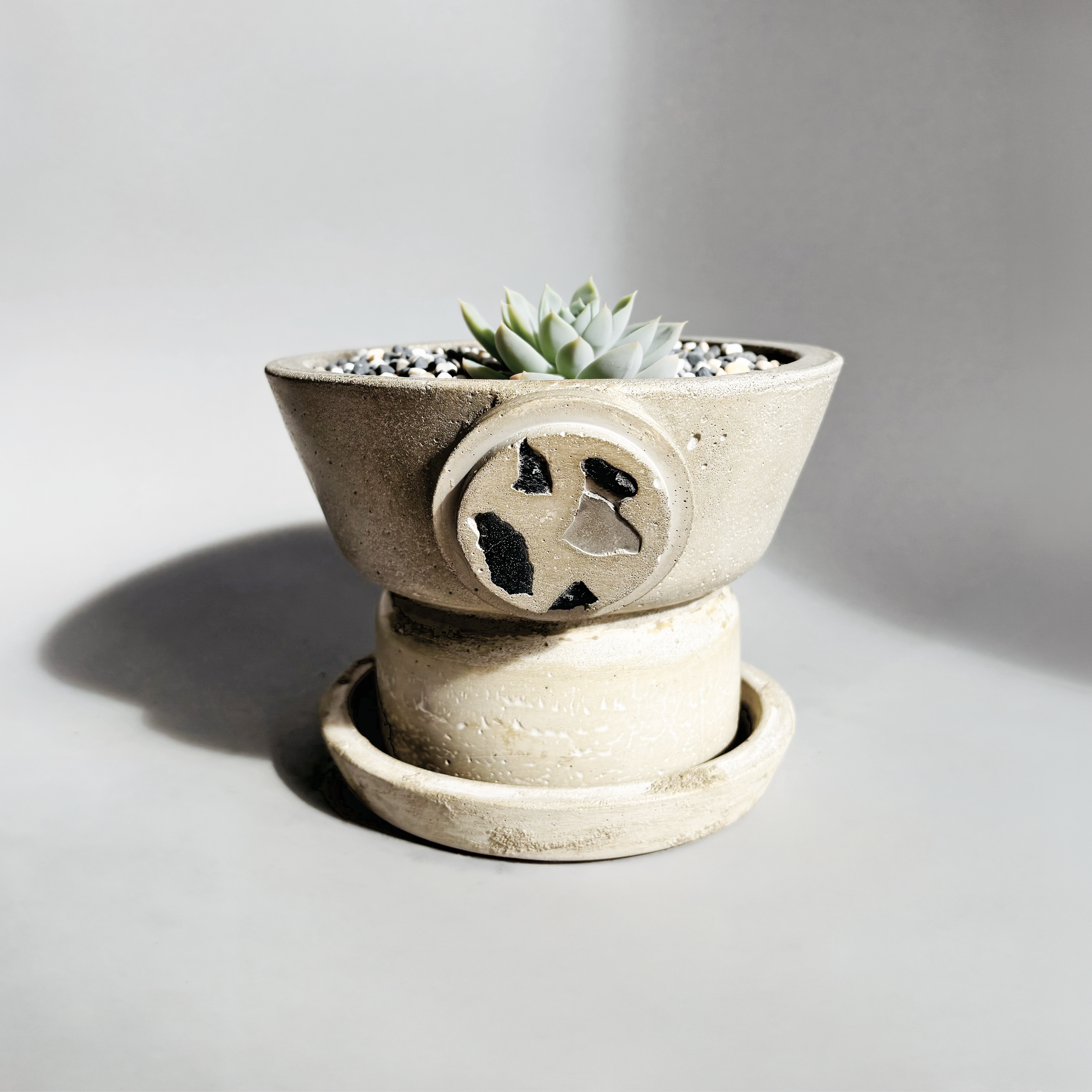 Terrazo+Medium+Light+Ash+with+plant.png