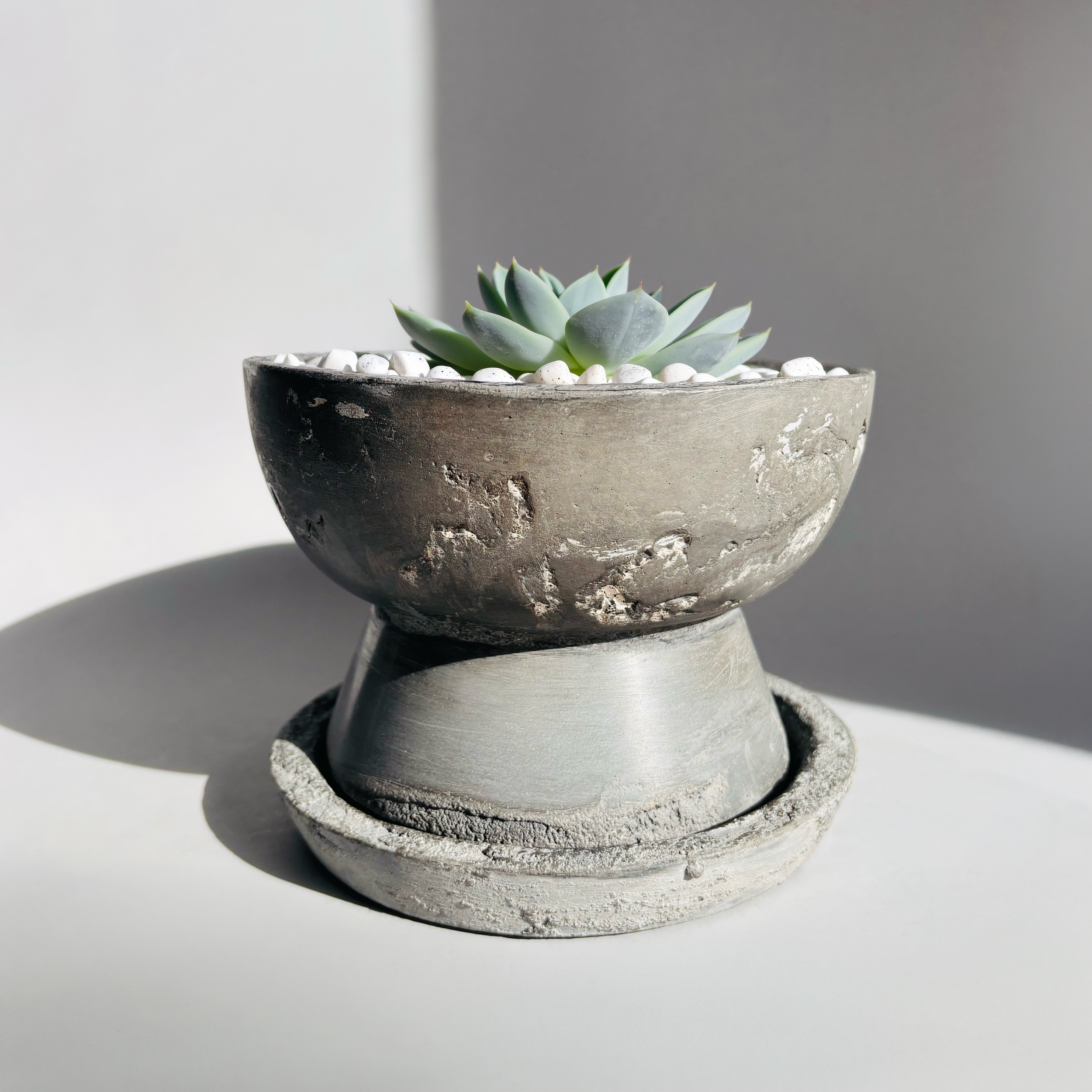 Medium Charcoal Ash White Detail w plant.png