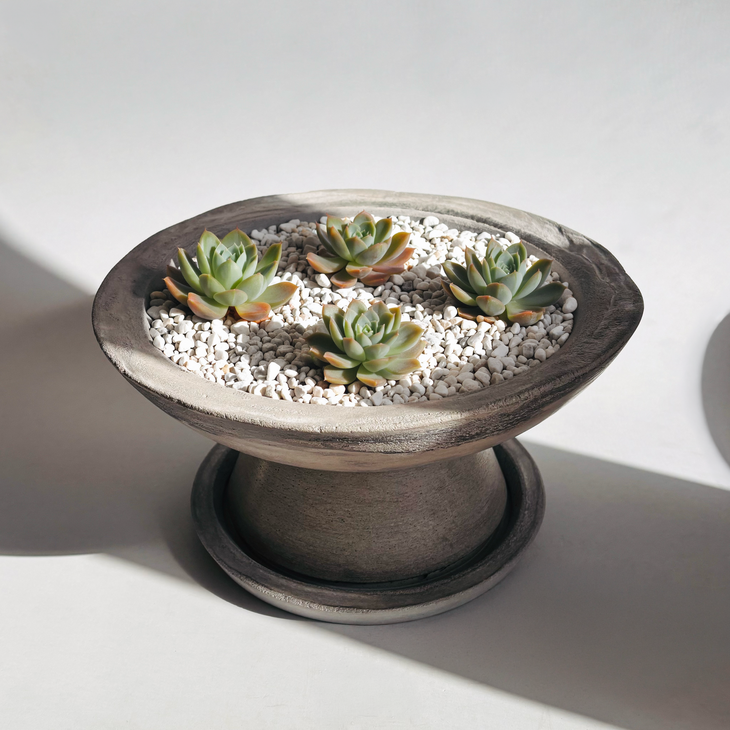 Vein Planter Top View w plant.png