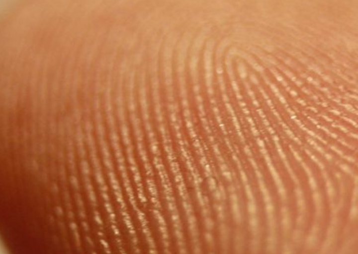 Close-up of a fingerprint on a human fingertip.