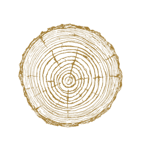 Close-up of a cross-section of a tree trunk showing growth rings in gold color.