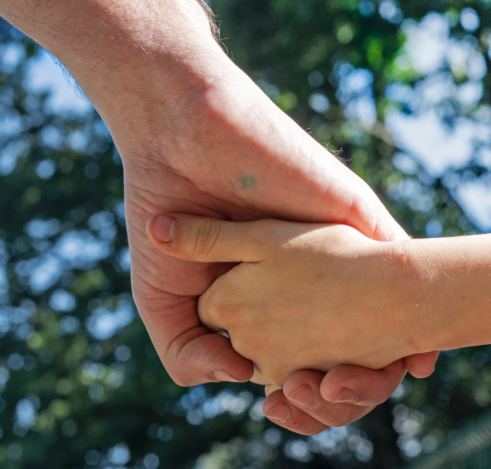 Close-up of an adult and child holding hands outdoors, with blurred trees in the background.