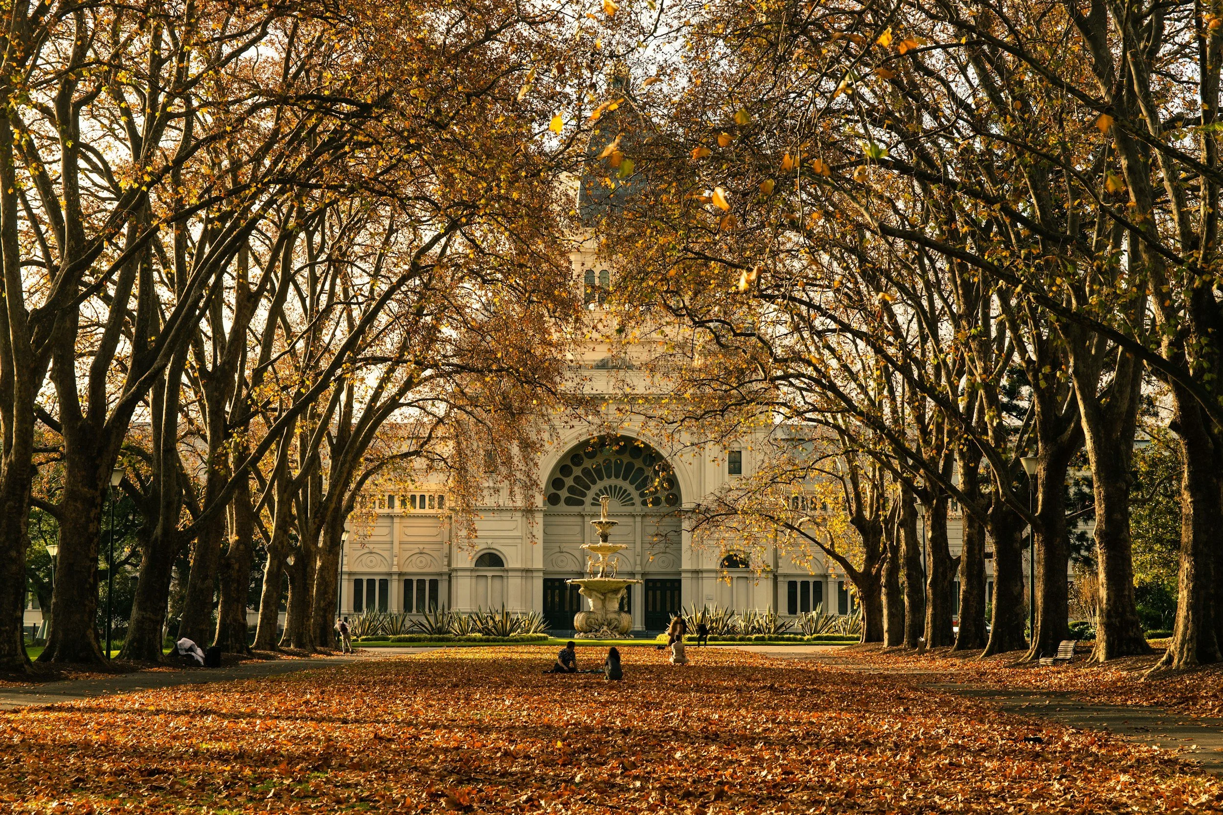 Sunset view of a historic white building with a fountain in front, framed by large trees with autumn leaves, and people sitting on the leaf-covered ground.