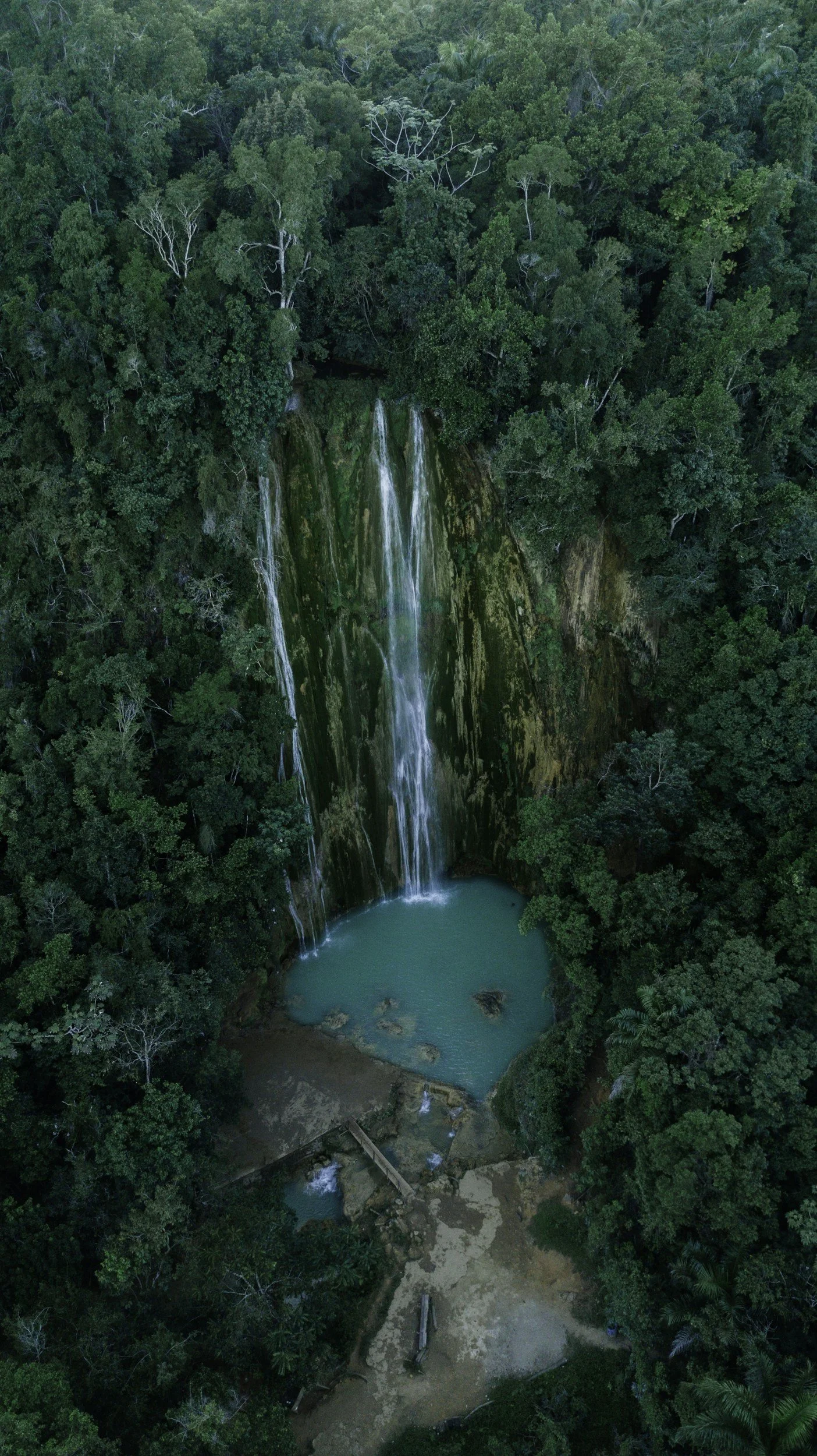 Aerial view of a lush green jungle with a waterfall cascading down a rocky cliff into a turquoise pool below.