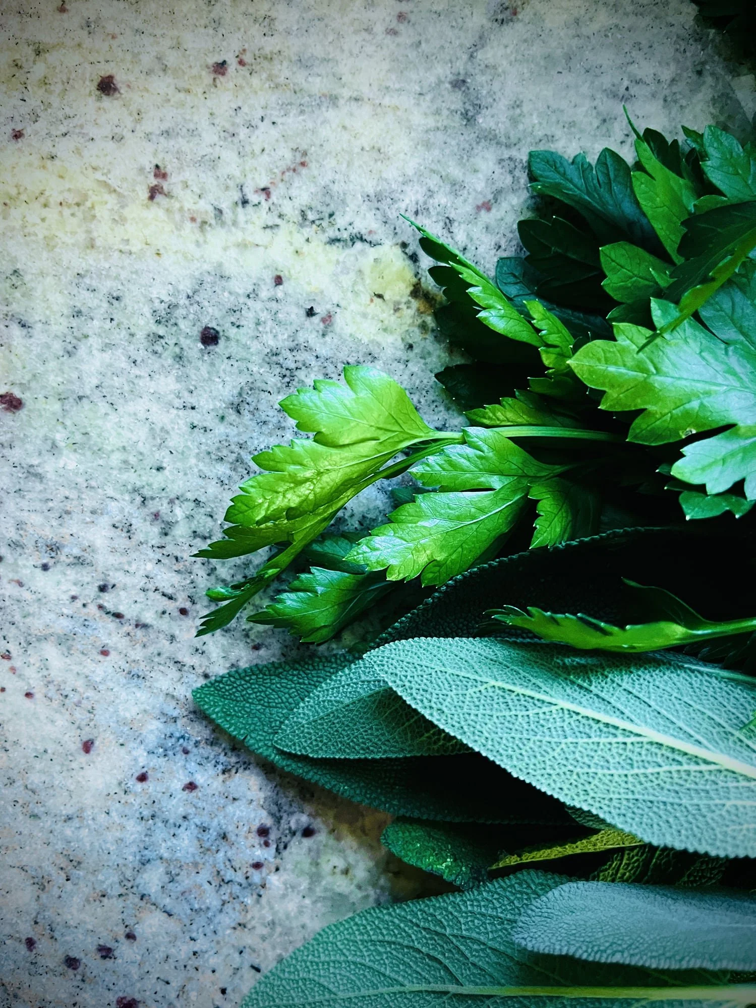 Conditions We Treat at Athens Integrative Medicine