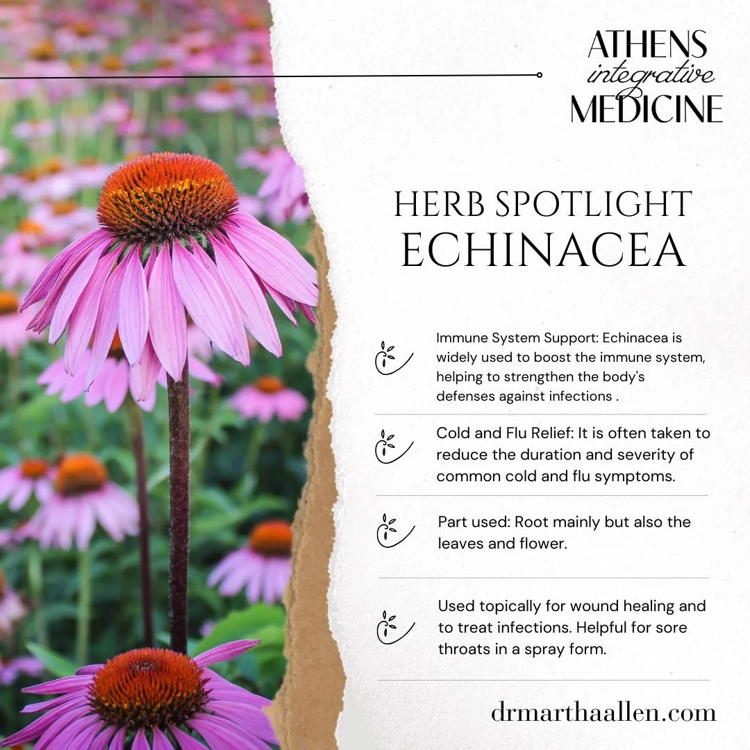 @gaiaherbs is a great source for high quality encapsulated herbal products such as

Echinacea Supreme!