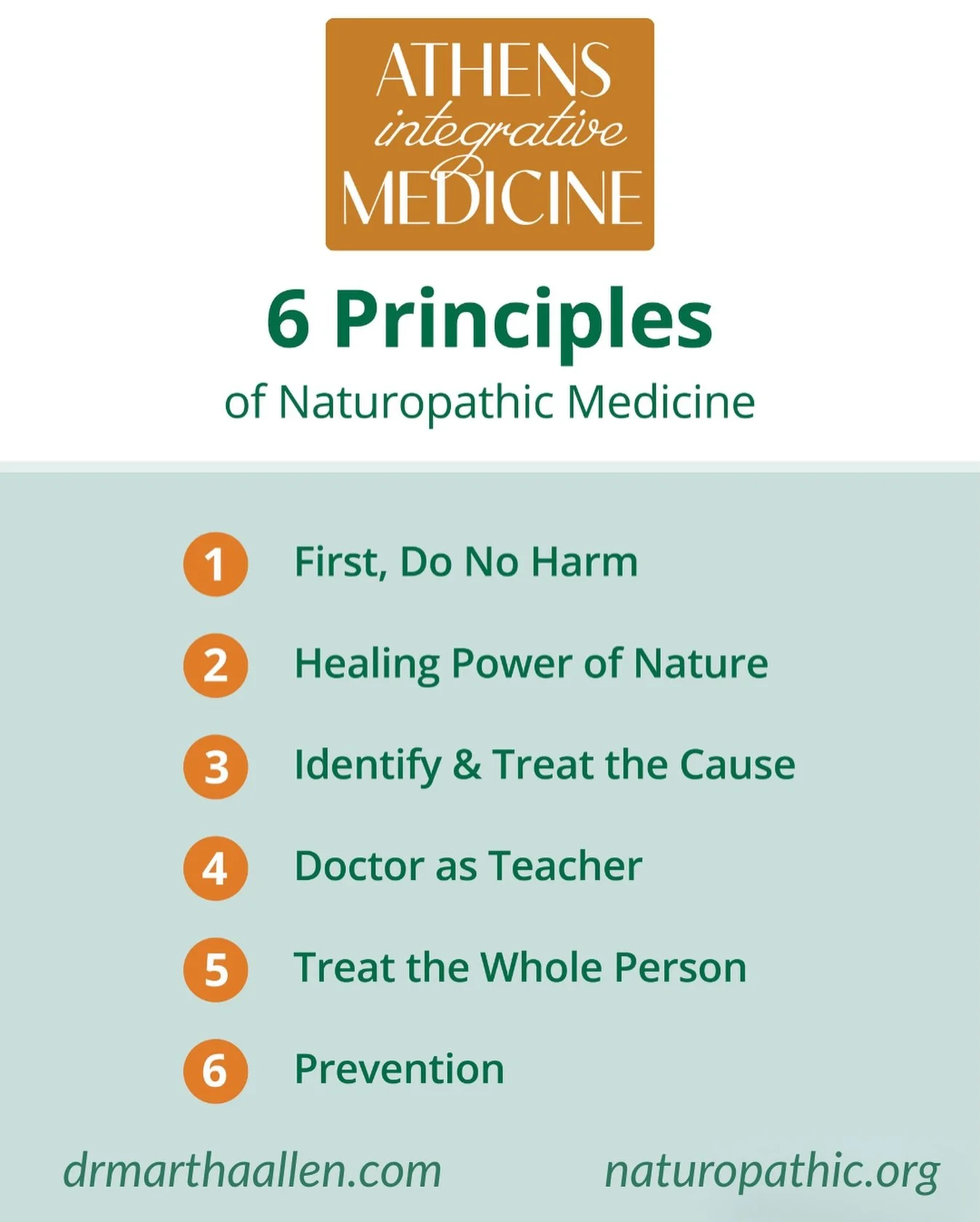 At the heart of naturopathic medicine are six guiding principles that serve as a foundation of how NDs practice and care for every patient. 🌿 

Healing Power of Nature: Your body has an innate ability to heal. NDs work with that intelligence, not 