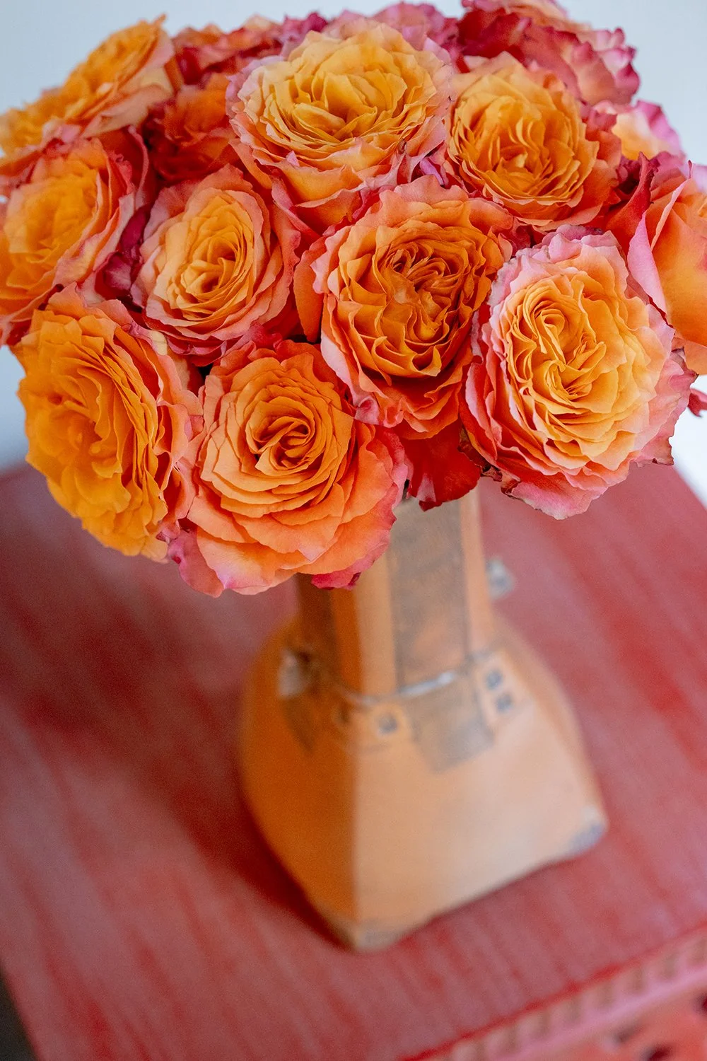 Events, News and Tips from Dr. Martha E. Allen