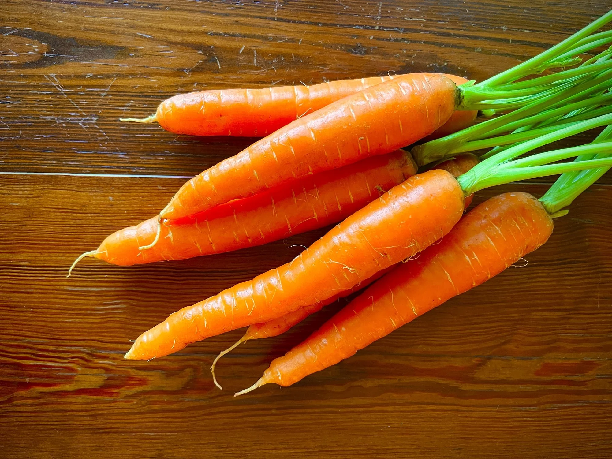 Dr. Martha Allen offers Useful Links about Integrative Medicine, Nutrition, and Naturopathic Medicine