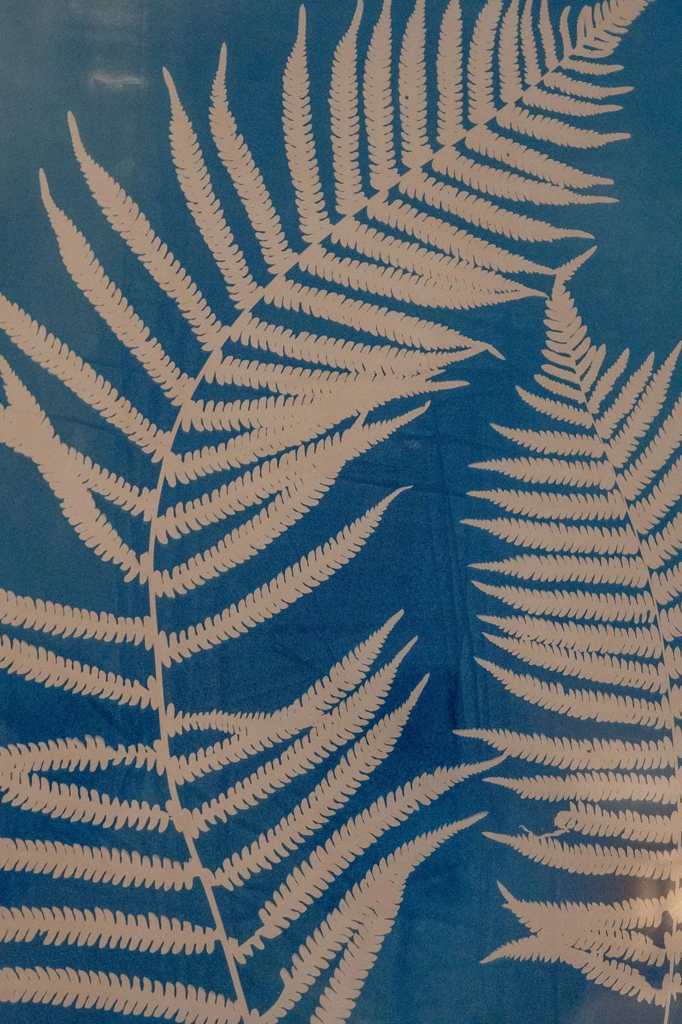 Testimonials for Athens Integrative Medicine plus image of fern by Rinne Allen