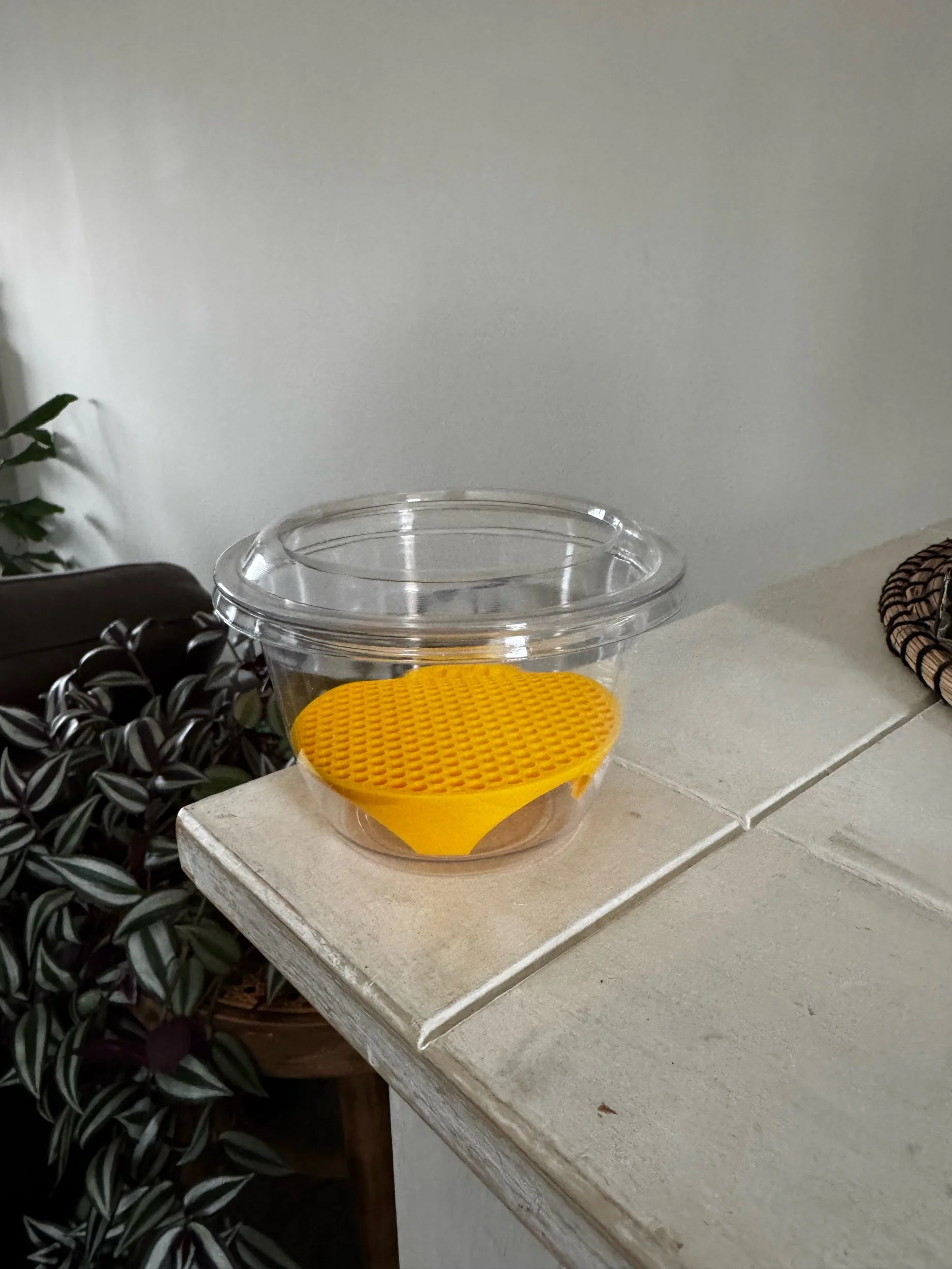 Large Corm Riser Pot (Puddle Method)