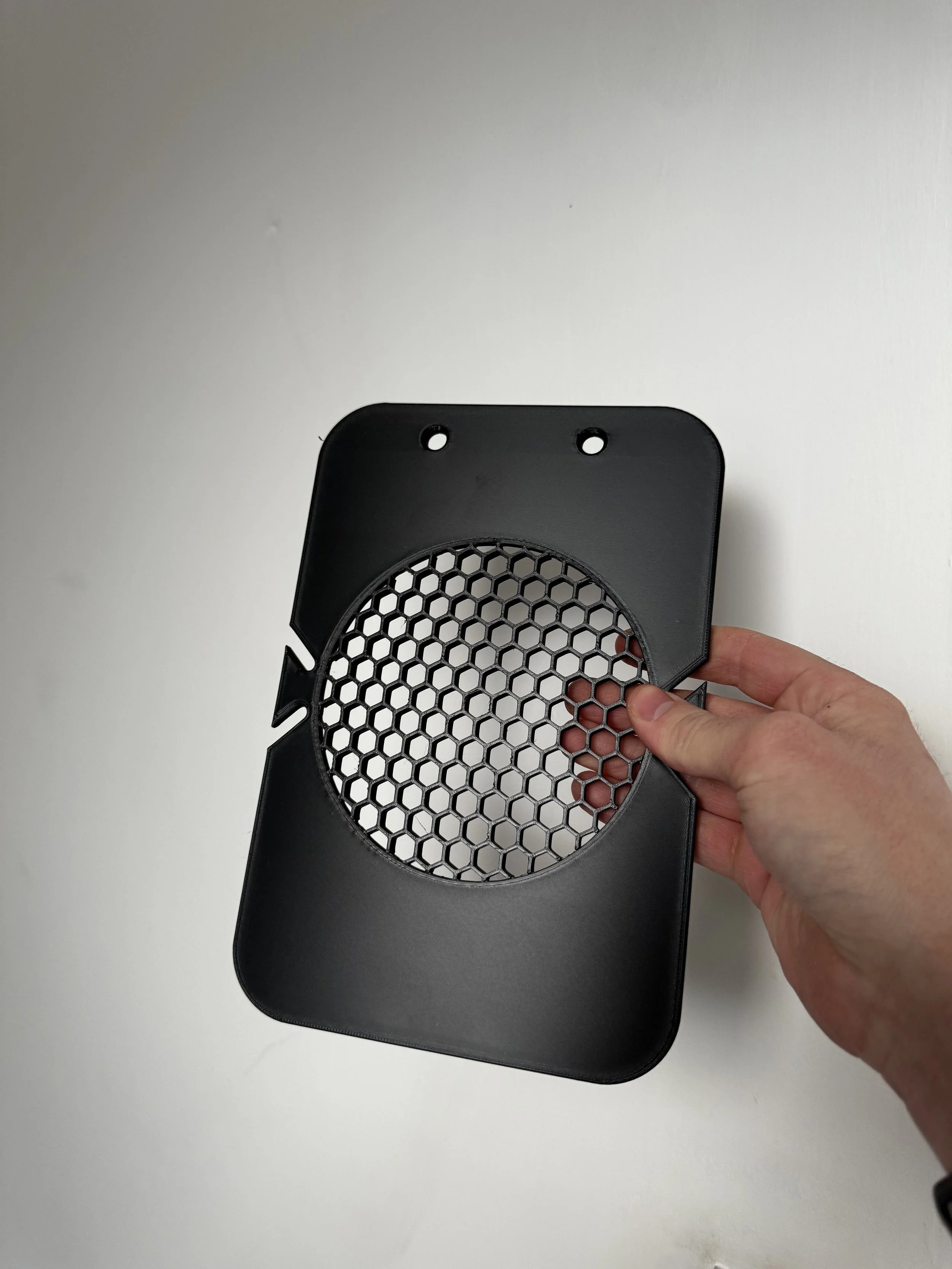 Staghorn Fern Mounting Board