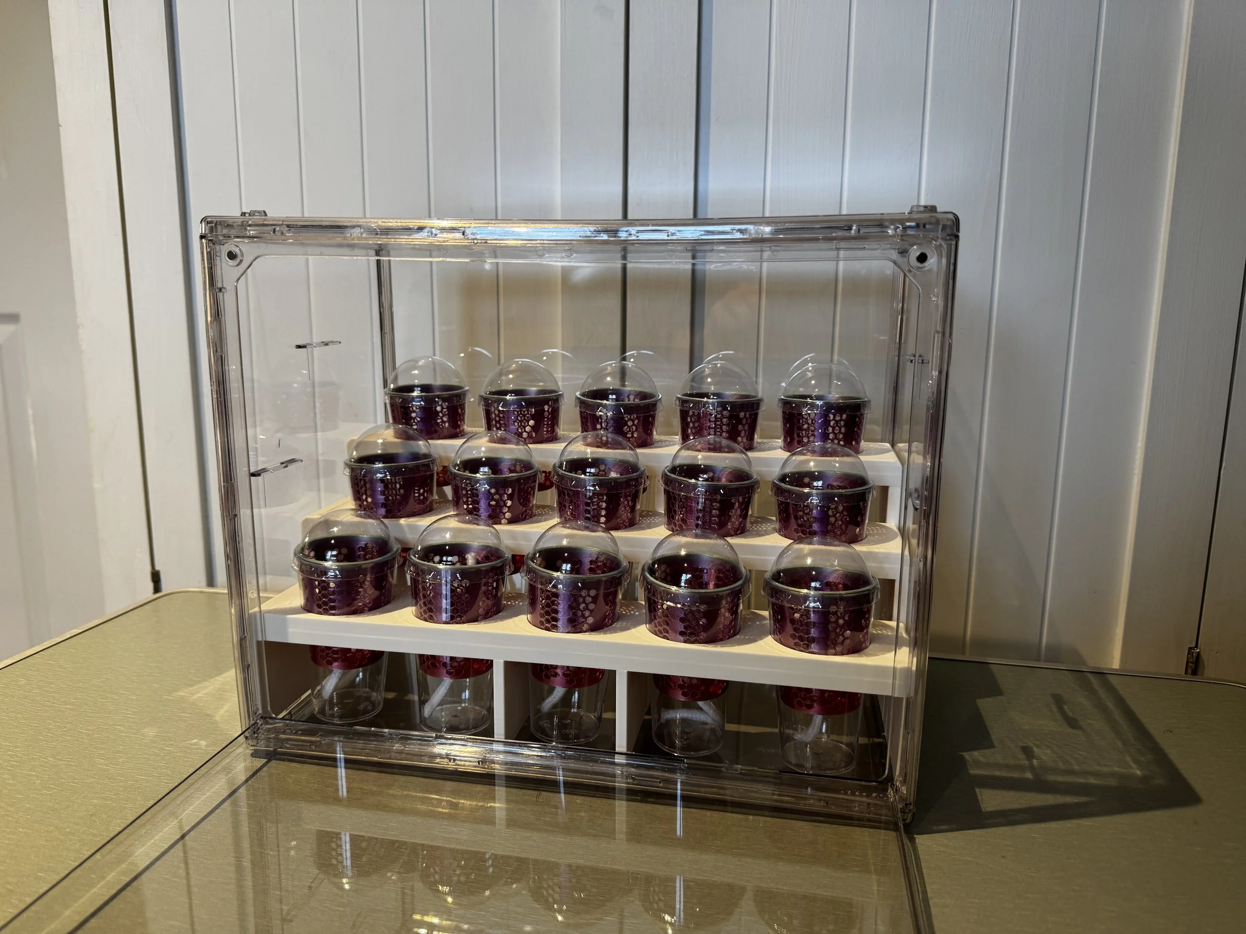 3 Pack Tiered Corm Cup Holder Set
