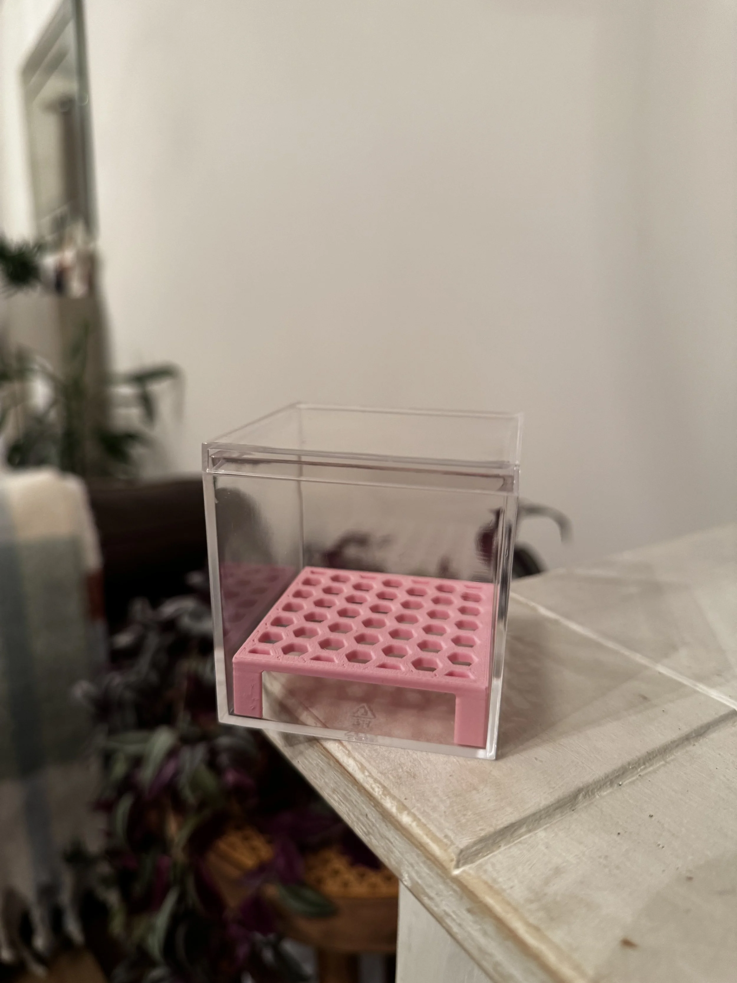 Corm Cube