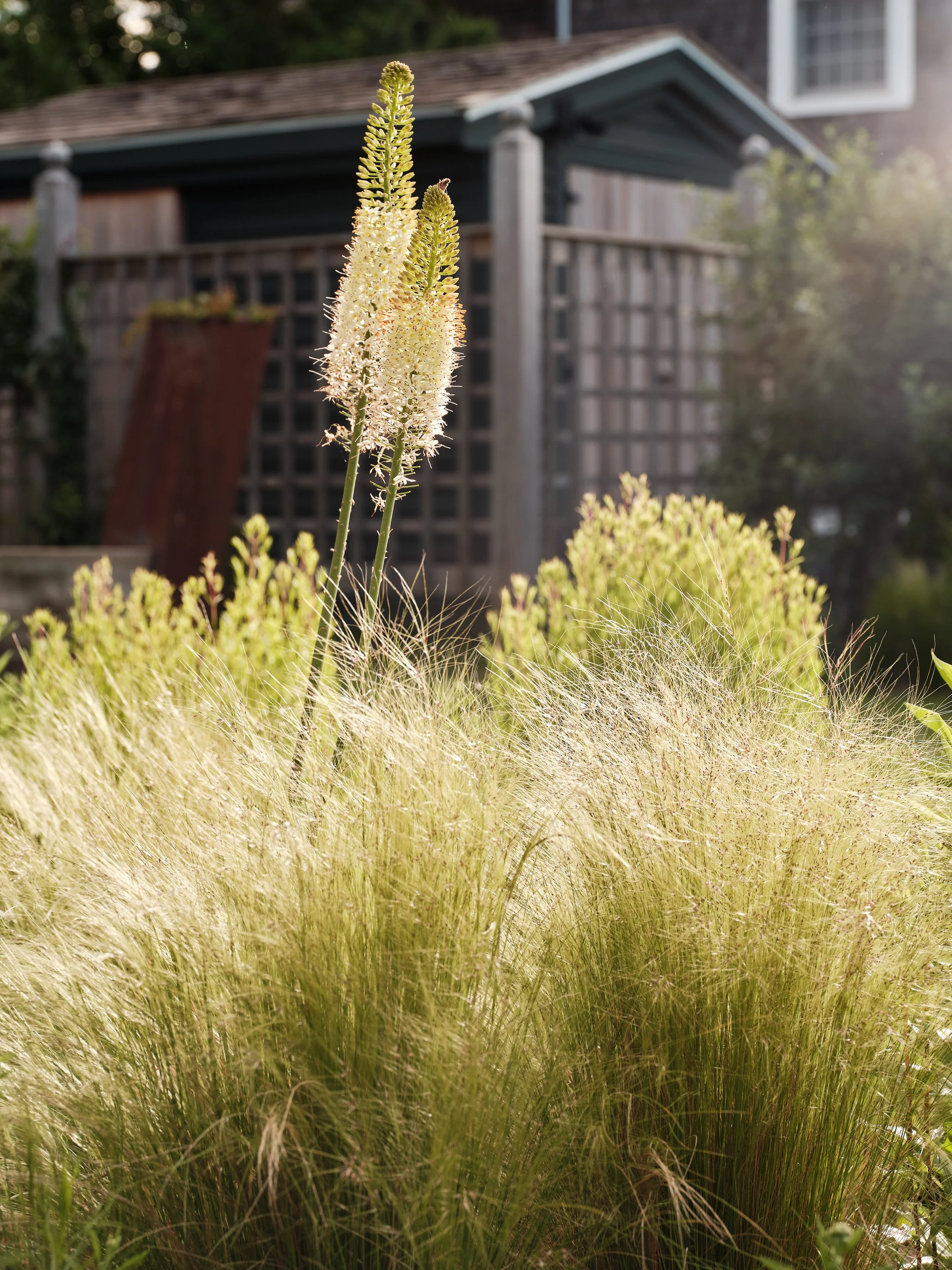 Photo by Kyle J. Caldwell