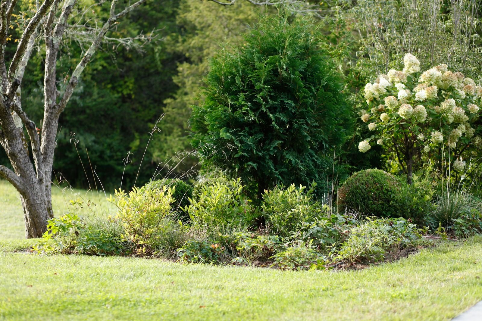 667d8d1823099996c7a137ce_Millbrook additional _1-p-1600.jpg