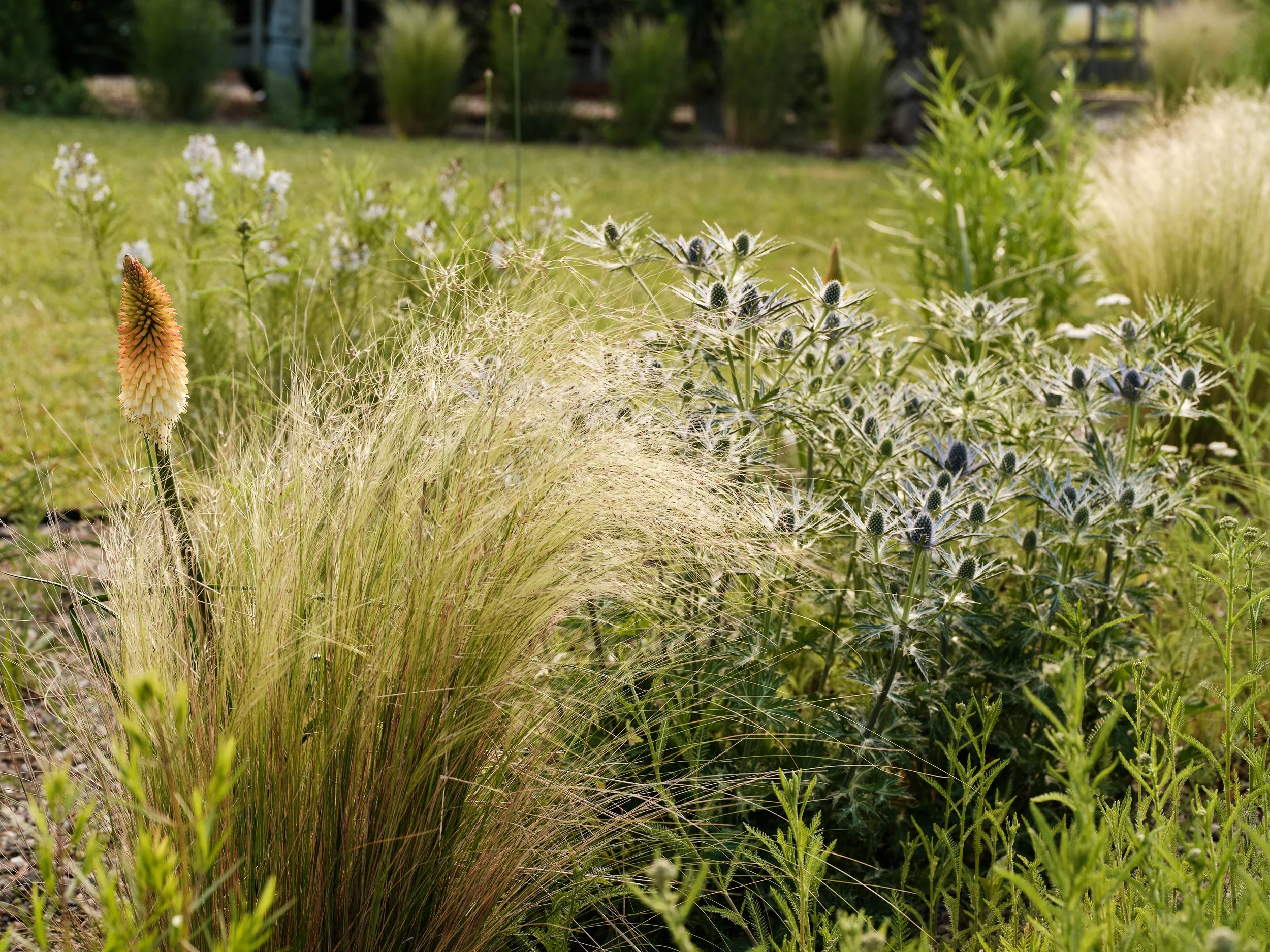 Photo by Kyle J. Caldwell