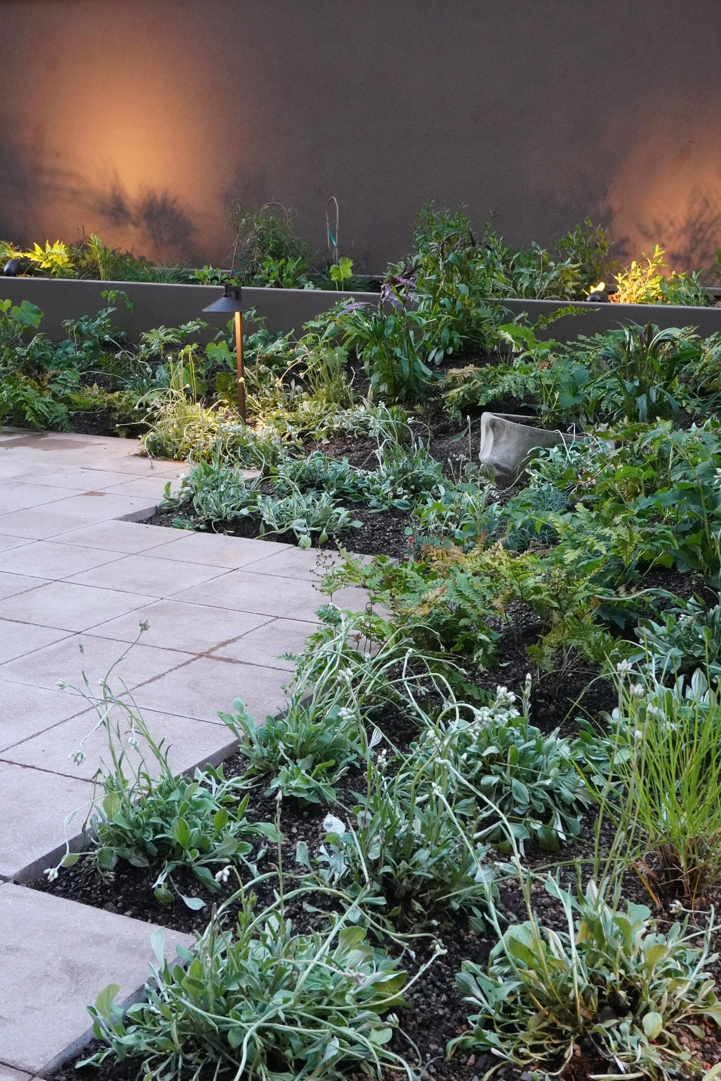 A lush Brooklyn backyard with reclaimed paving.