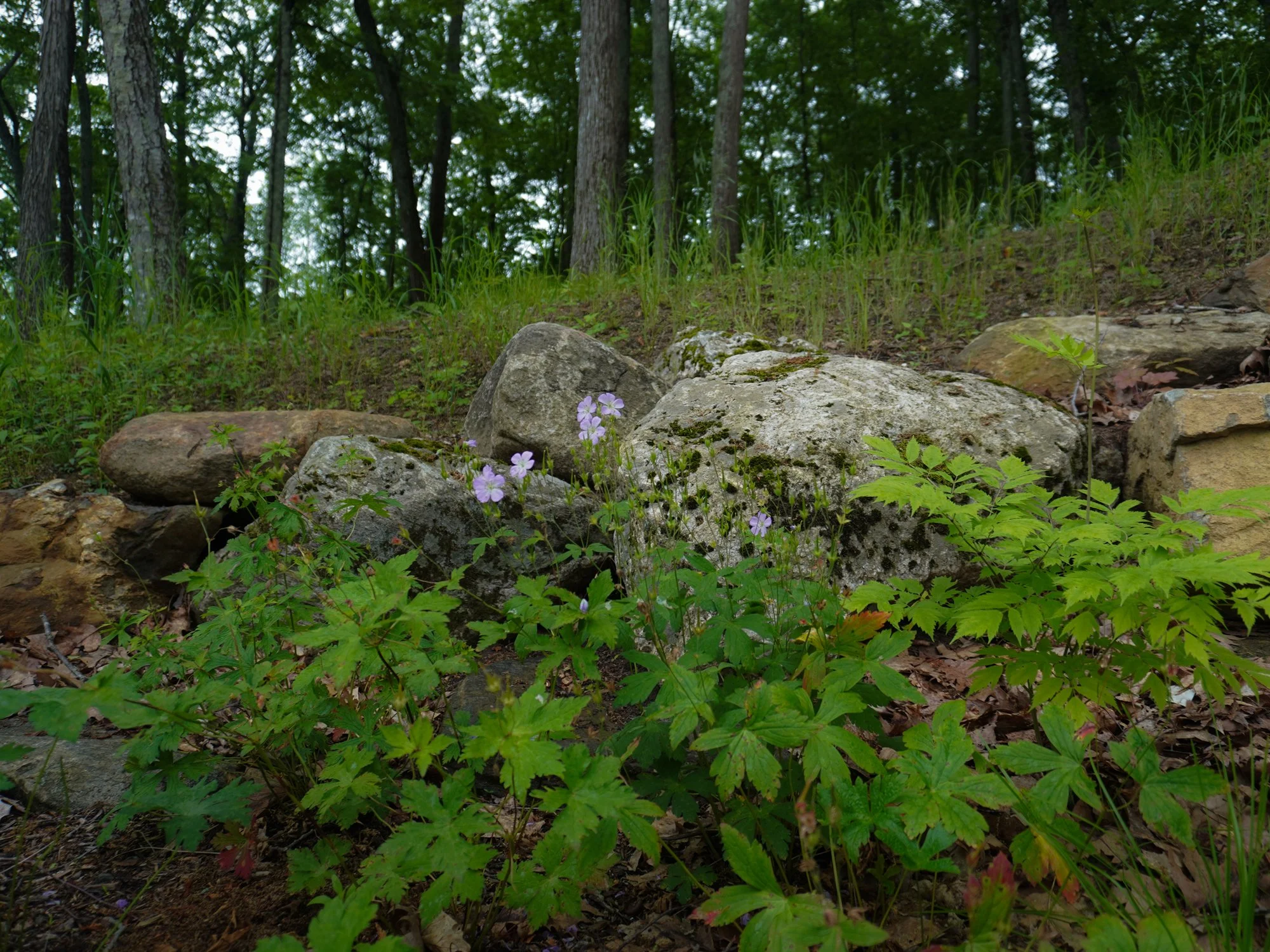 68bf4dfb1b39fc6cc4b151d8_WASHINGTON DEPOT 03.jpg