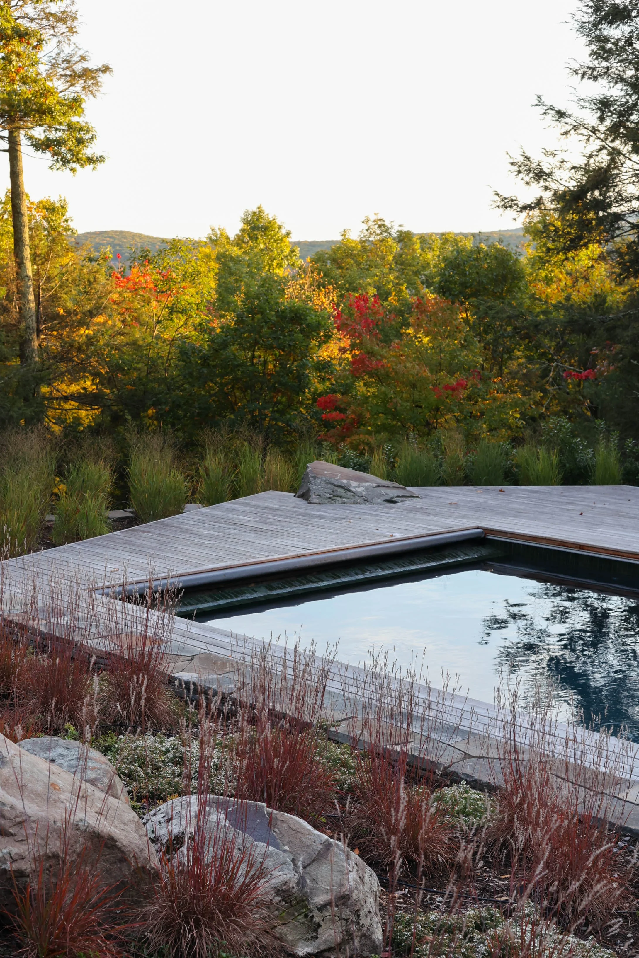 An outdoor swimming pool with a natural stone border and wooden decking, surrounded by trees and a forest in the background, under a clear sky.