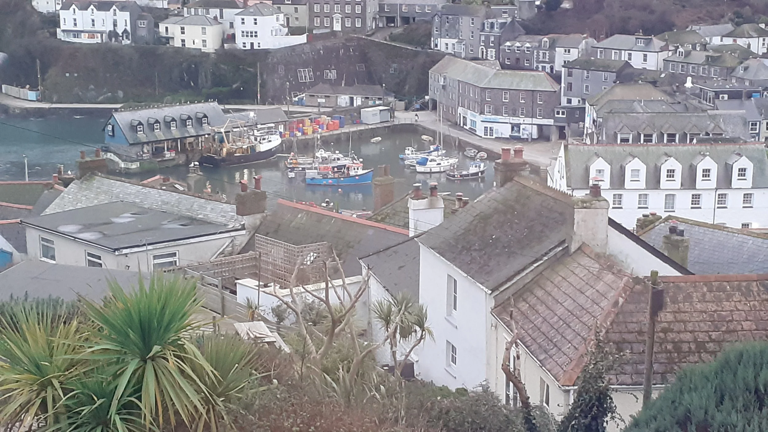 Aerial view of a small harbor with boats docked, surrounded by houses and buildings on a hillside. Greenery and rooftops are in the foreground.