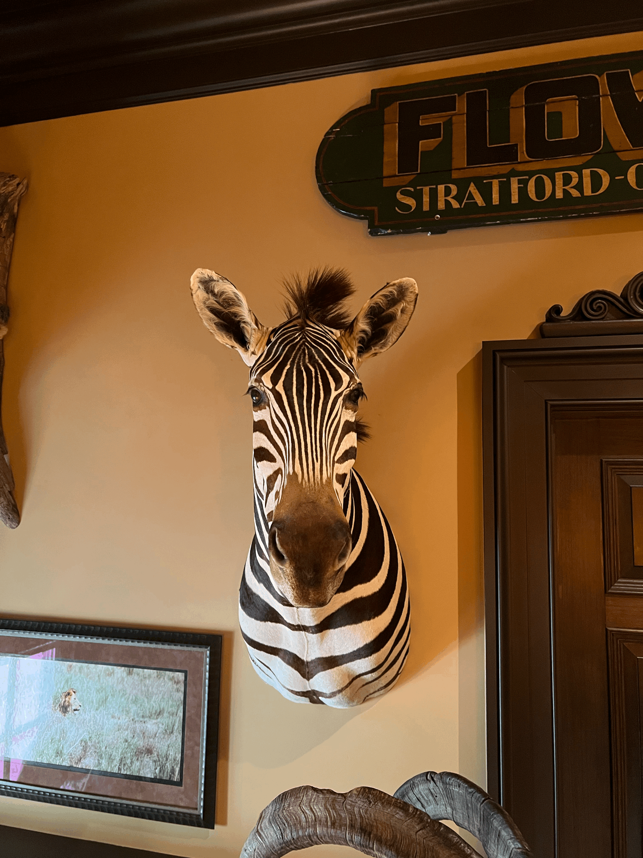 Zebra Mount Pair - Left and Right Facing