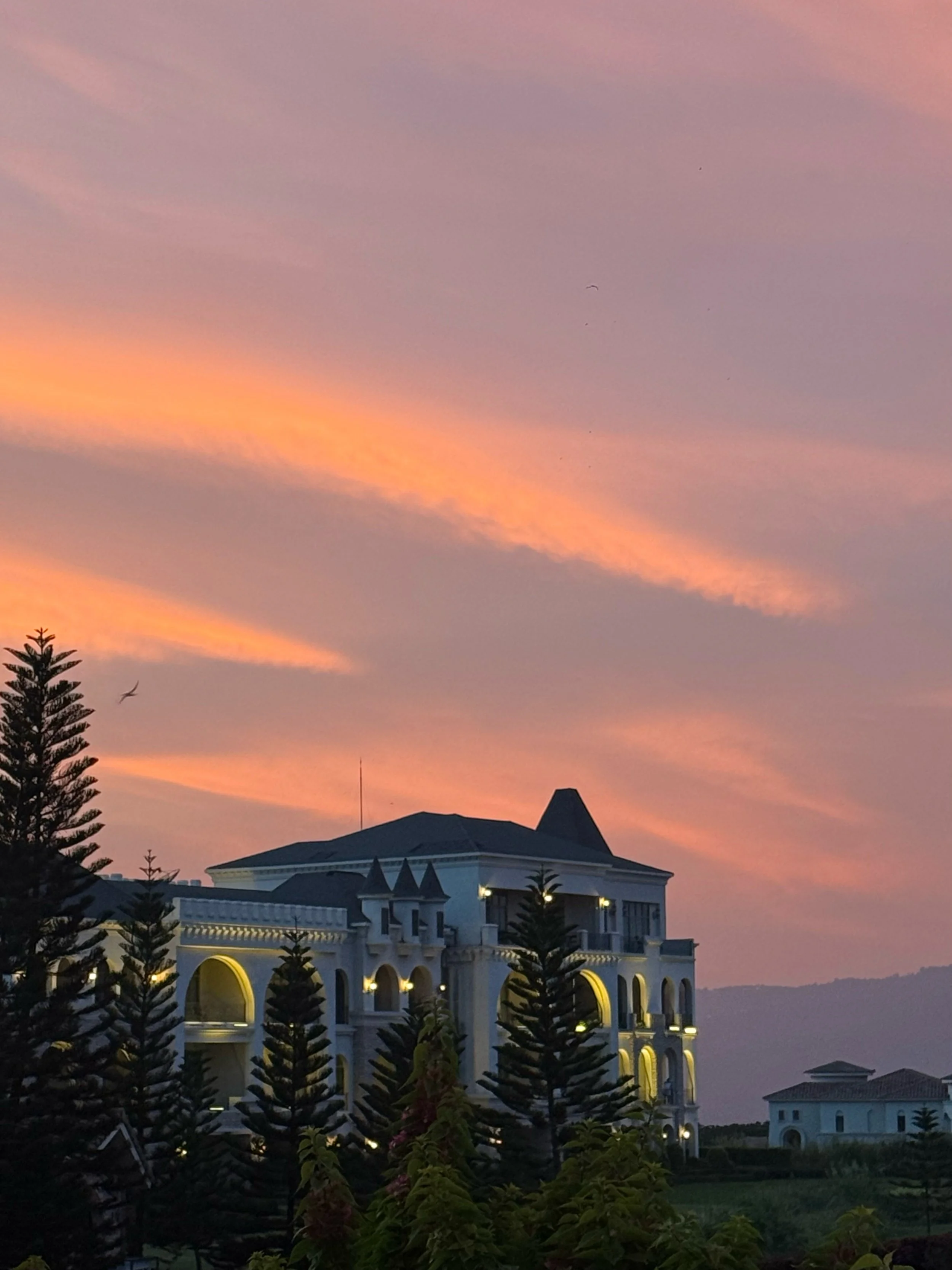 A castle-like white residential building with arched windows and balconies, surrounded by pine trees, during a colorful sunset sky with pink and orange clouds.