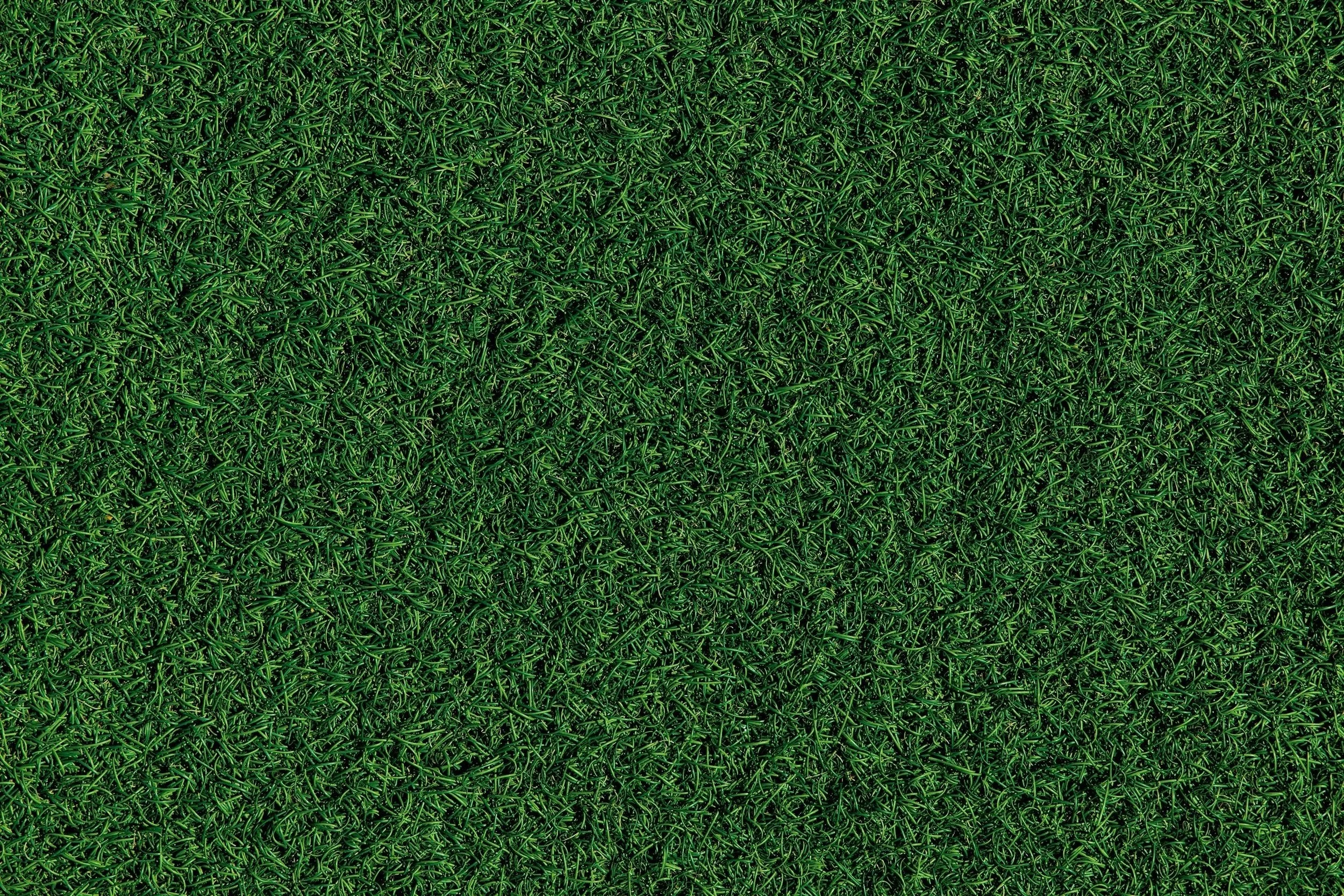 Close-up of dense, green artificial grass.