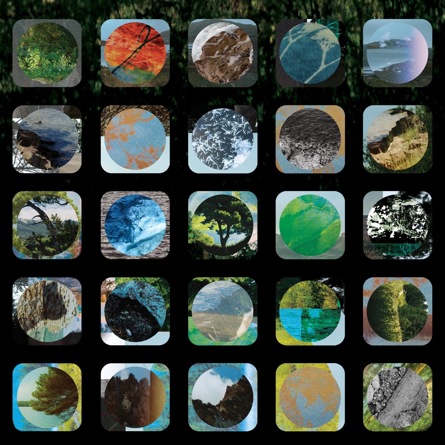 Collage of various nature scenes including forests, lakes, mountains, ice formations, and leaves, arranged in a grid with rounded edges and a black background.