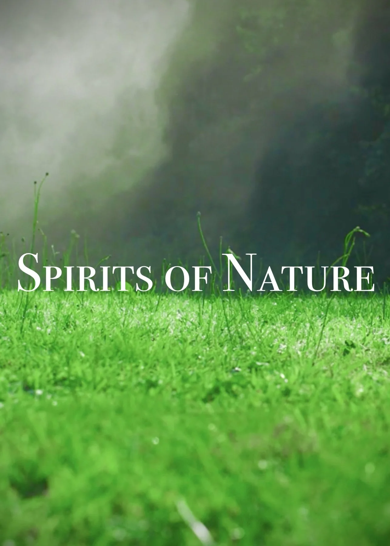 Green grass in a forest with sunlight filtering through trees, text overlay that reads 'Spirits of Nature'.