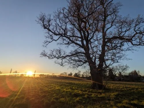 Alchemising with Nature - The Qi Gong Community Project