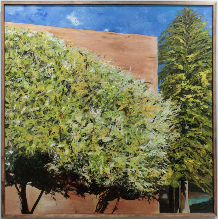 "The Back of the MSU Library"