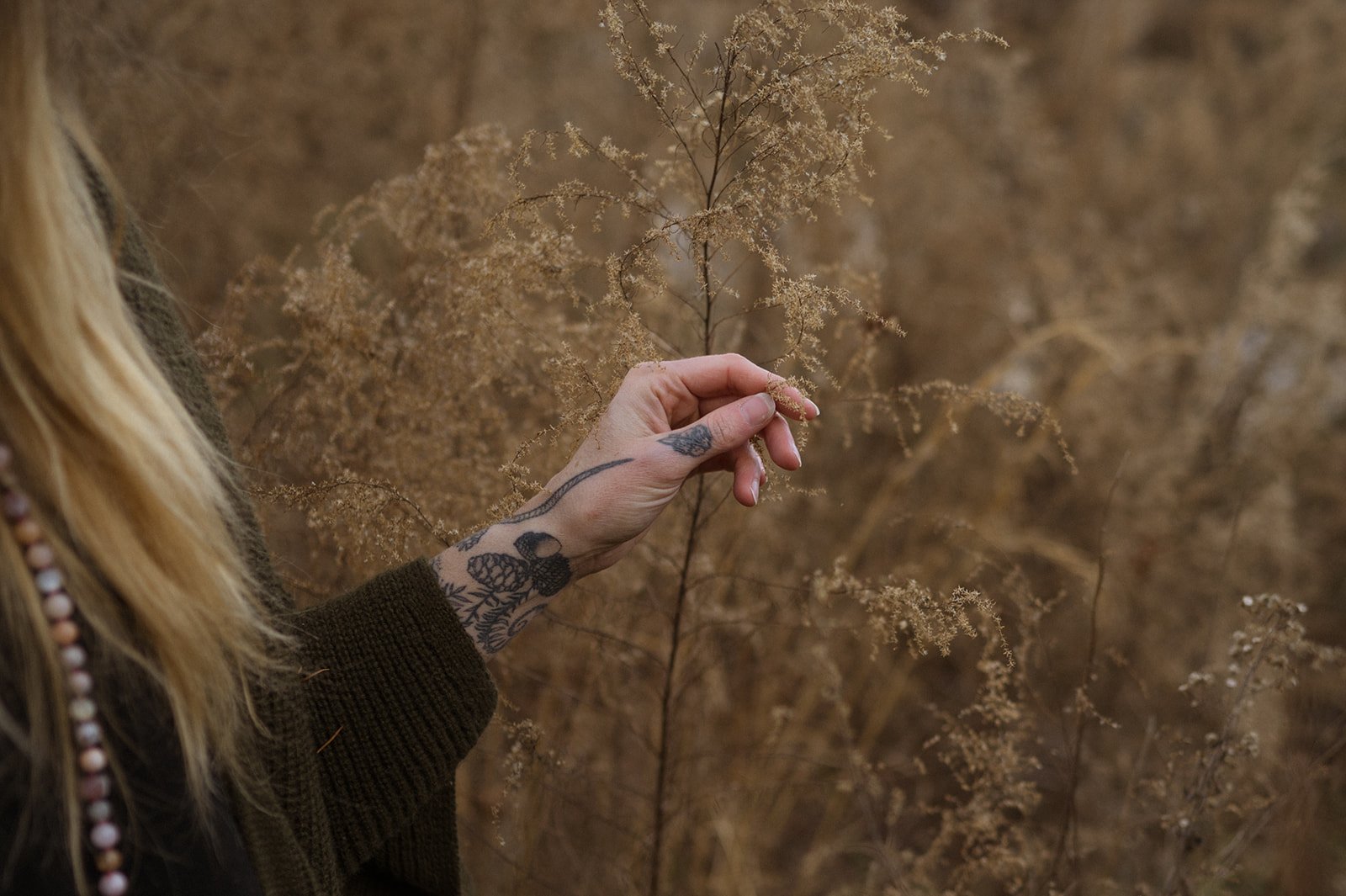 A person with blonde hair and tattoos on their hand holds a brown, wispy dried plant in a field of similar plants.