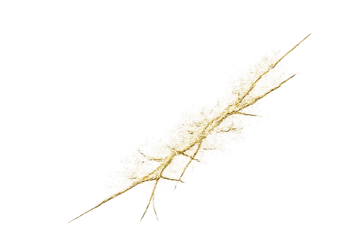 A single beige feather with detailed barbs and a central shaft on a black background.