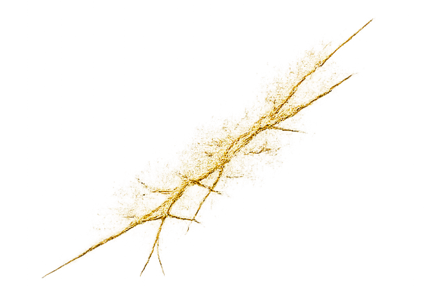 A leaf that appears to be made of gold or gold-colored material.