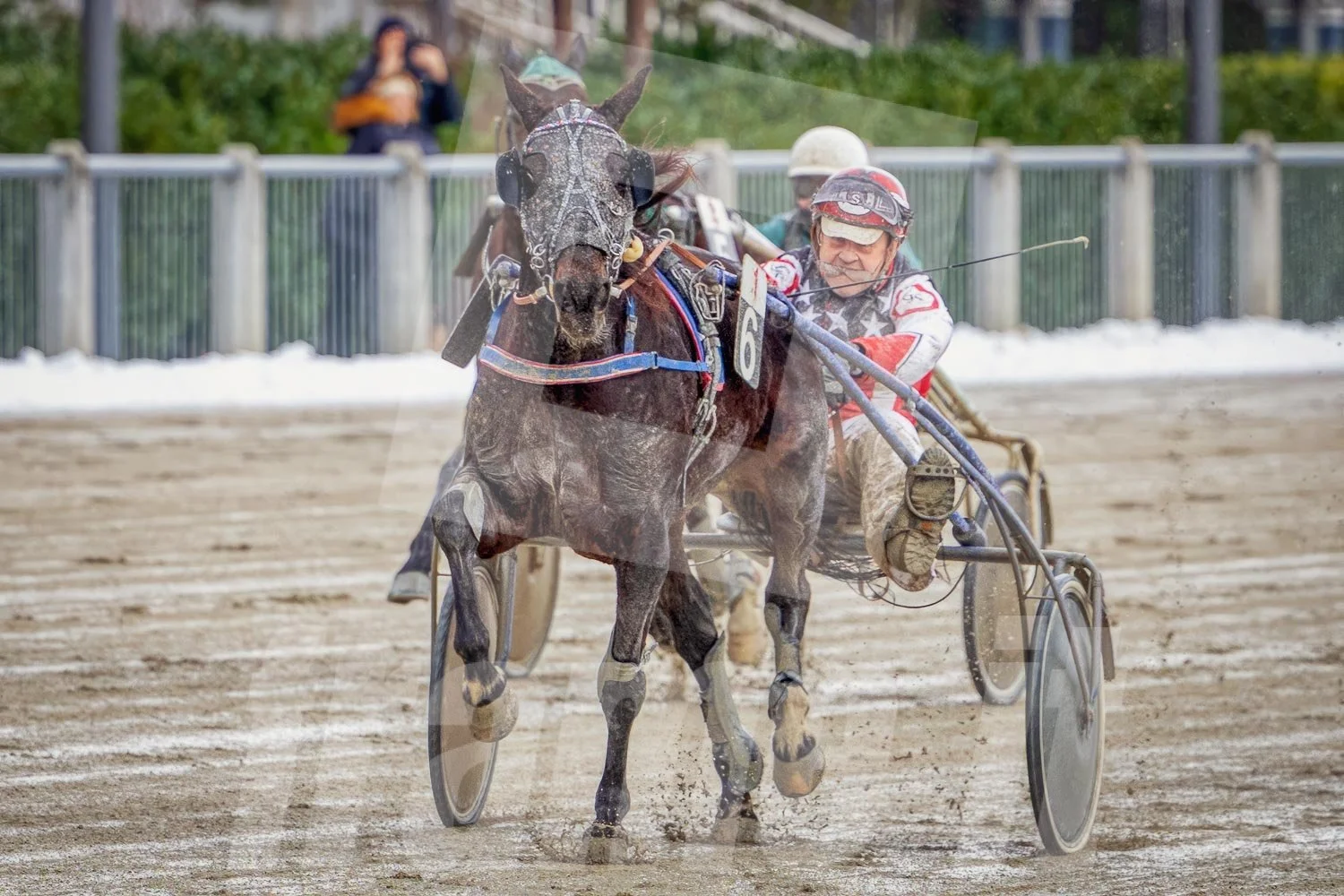 Pferderennen mit einem Pferd und einem Trabrennfahrer auf der Rennbahn.