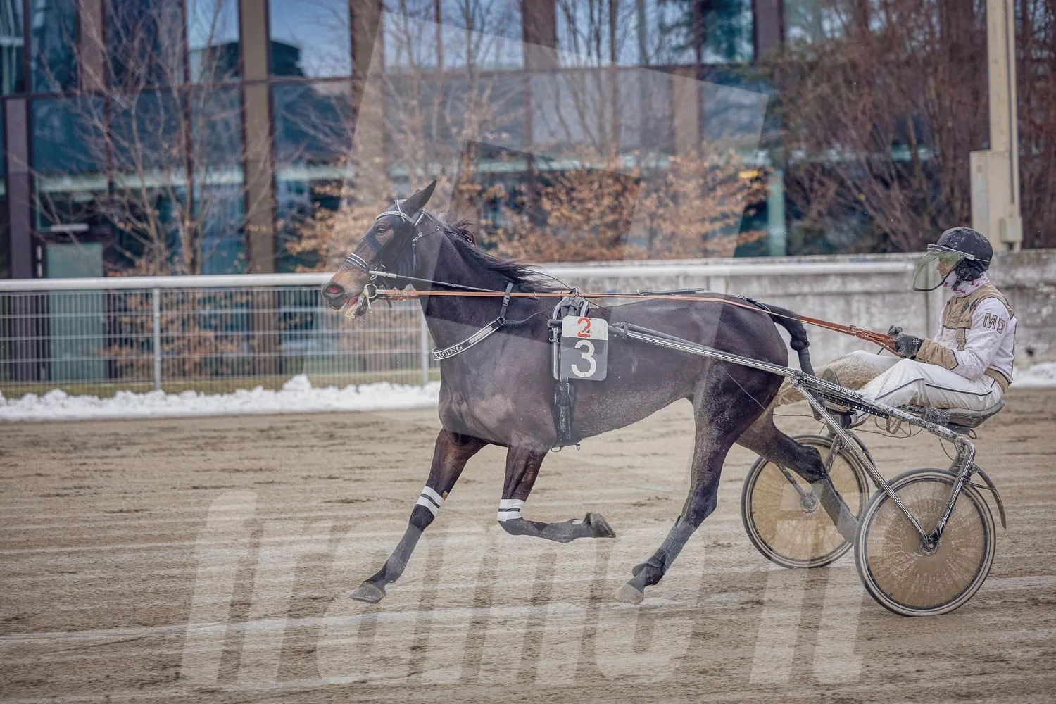Trabrennpark Wien Krieau mit Trabrennpferd und Fahrer.