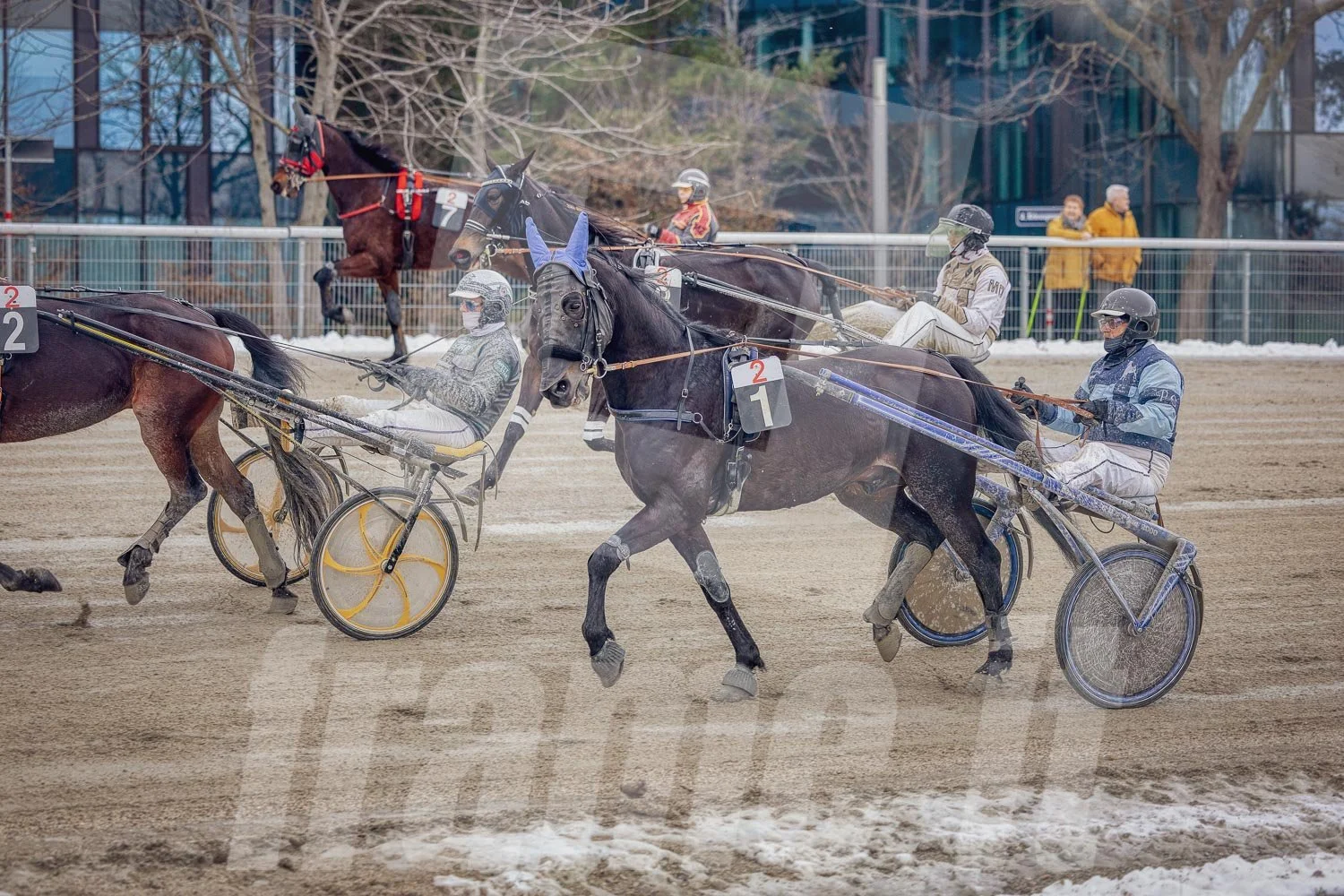 Trabrennpark Wien Krieau mit Trabrennpferd und Fahrer.