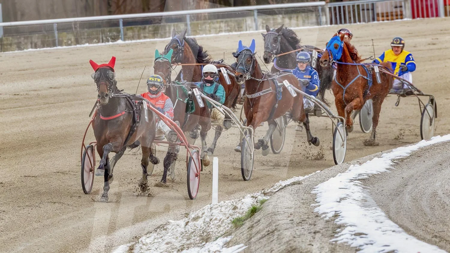 Trabrennen mit mehreren Pferden und Trabrennfahrern in Action, Trabrennpark Krieau.