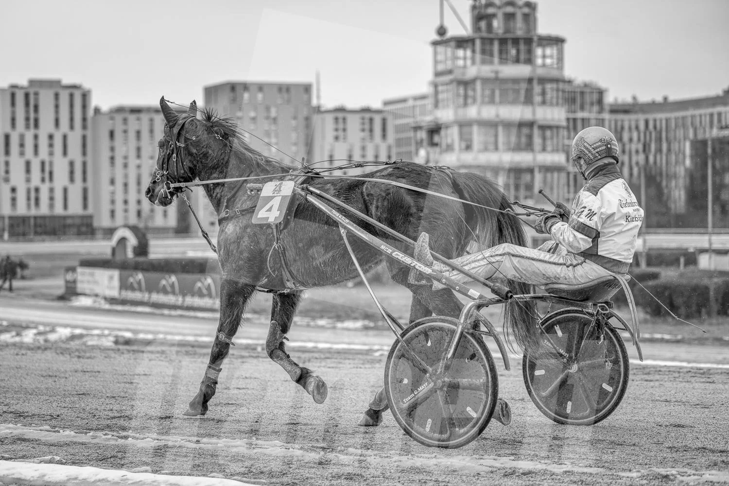 Schwarz-weiss Foto eines Trabrennpferdes, mit einem Trabrennfahrer auf der Trabrennbahn in der Wiener Krieau.
